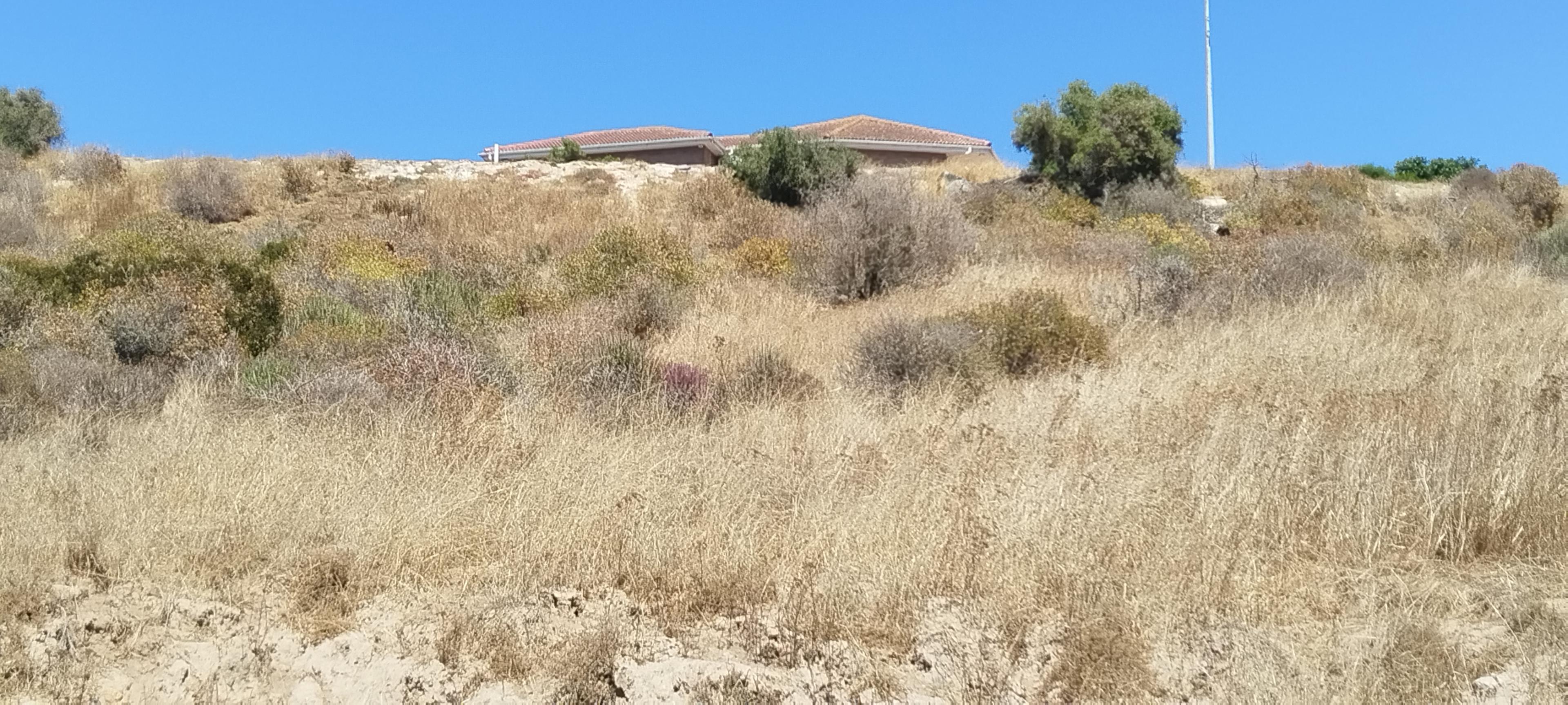 Image 5 of 6