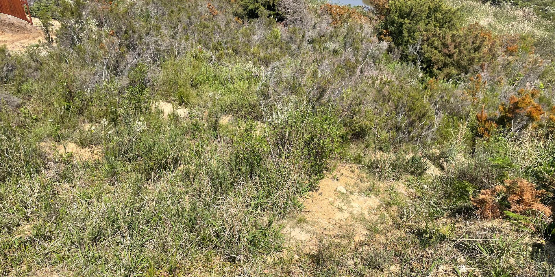 Image 5 of 6