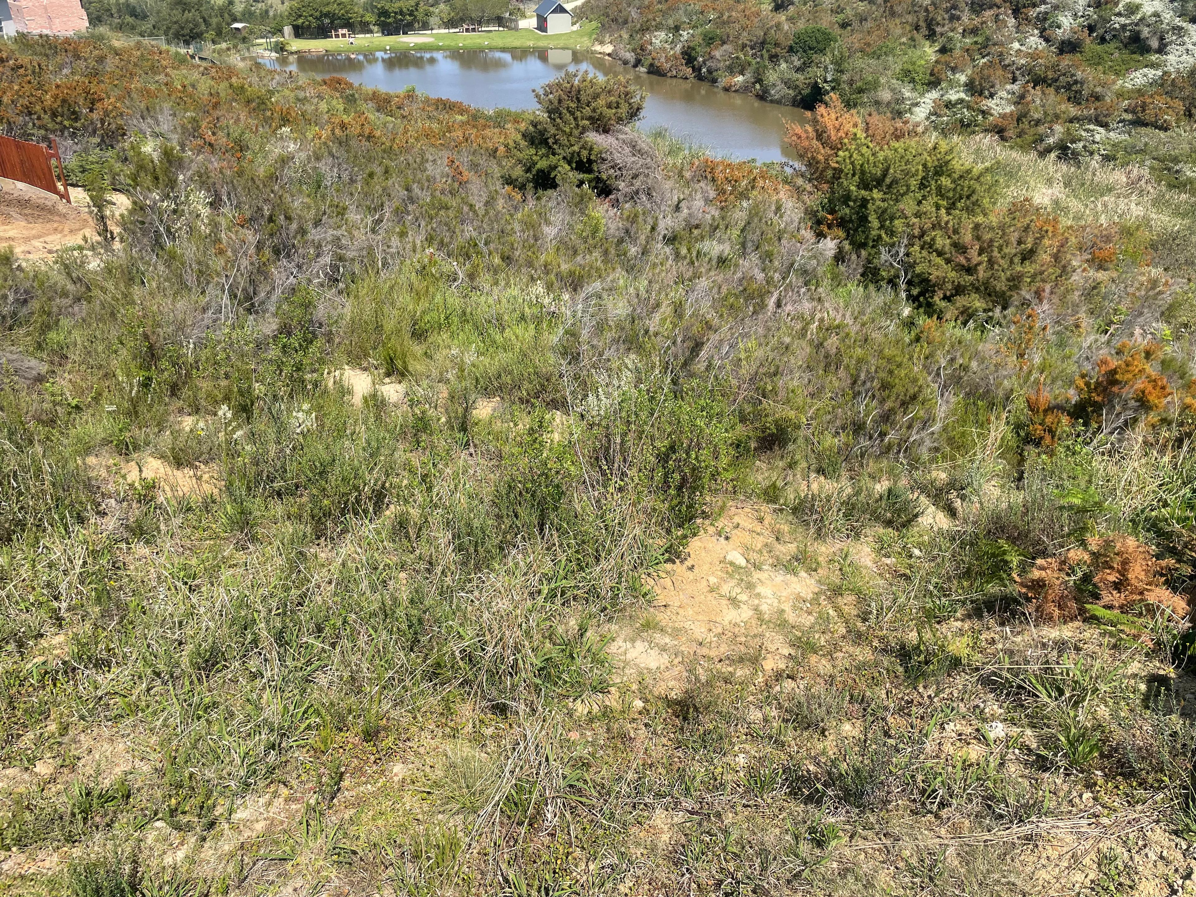 Image 5 of 6