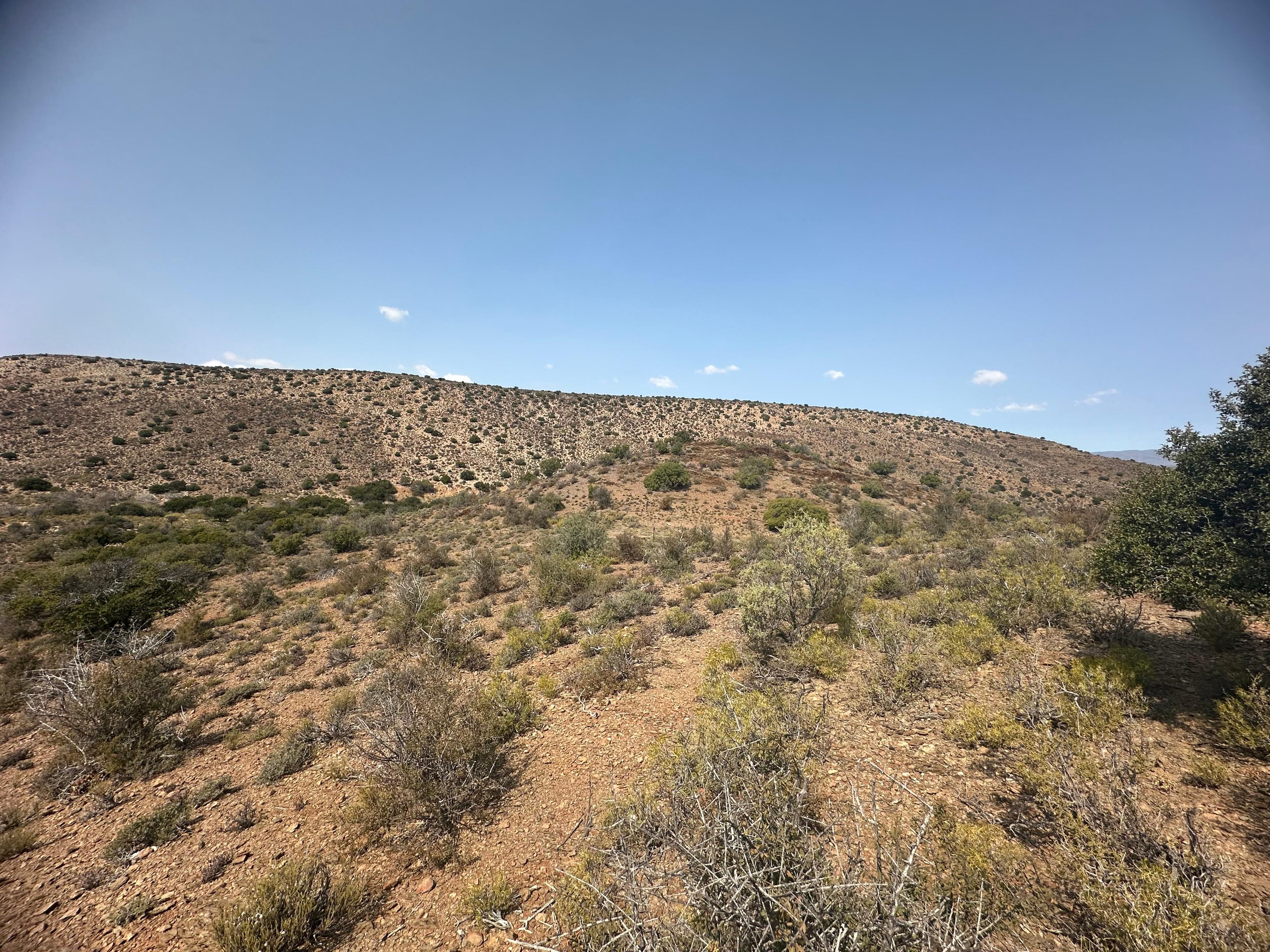Image 14
