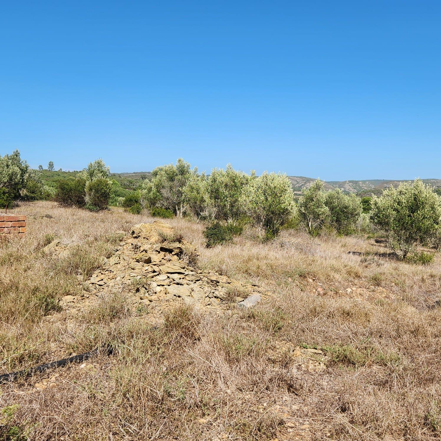 Image 32