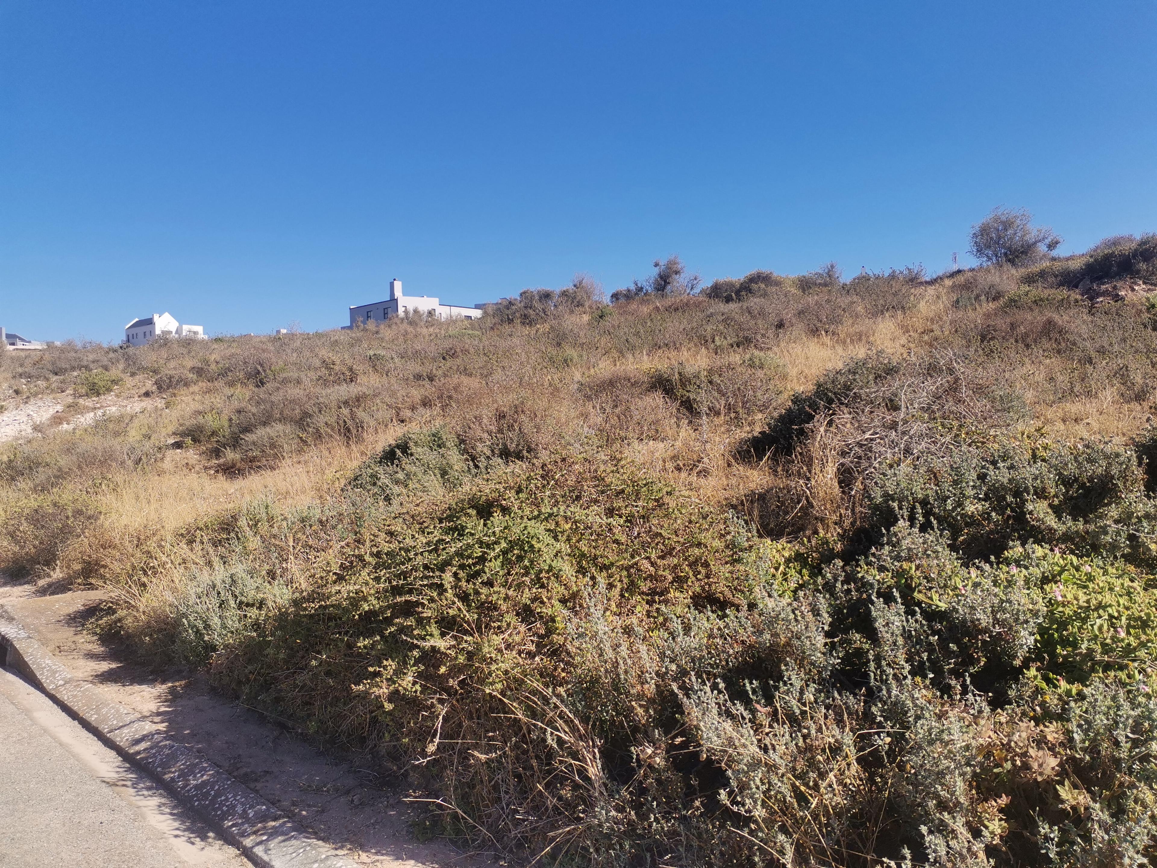 Image 4 of 6