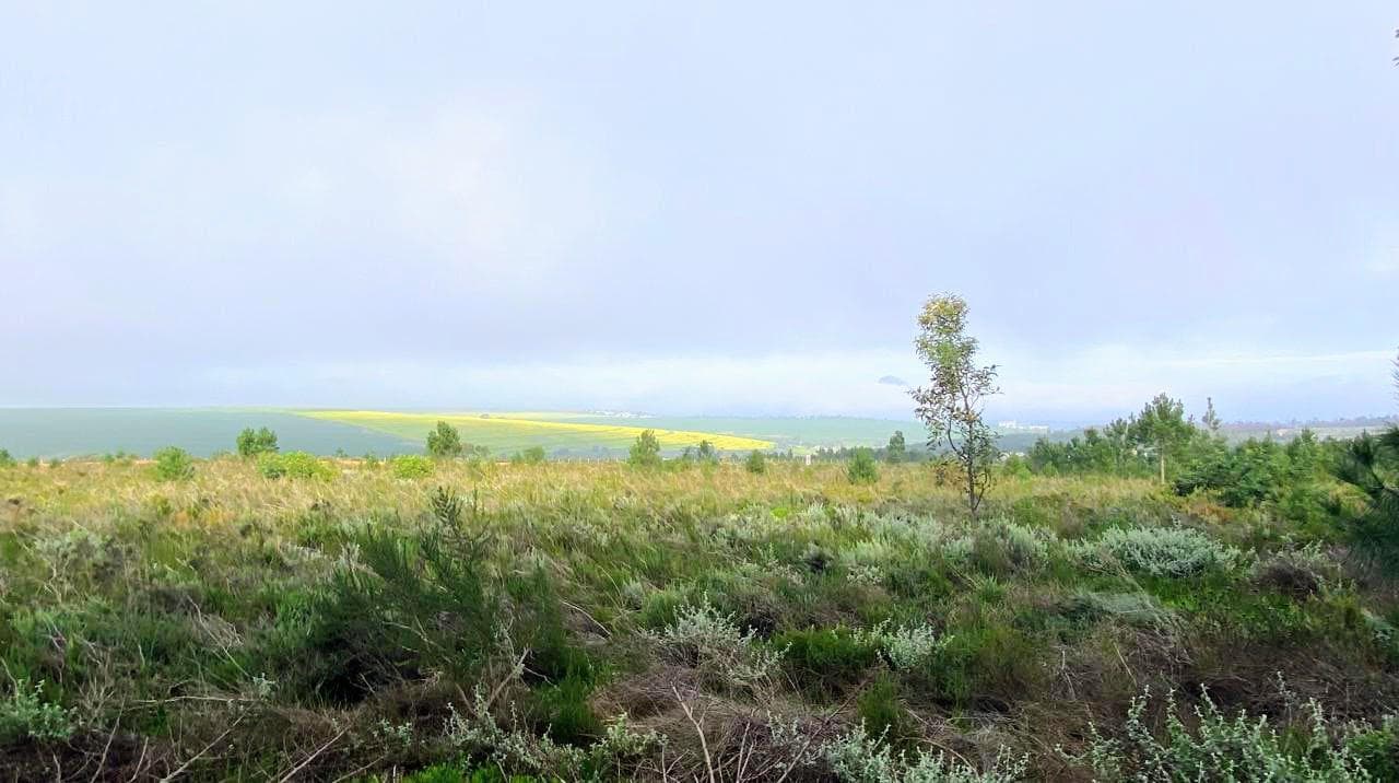 Image 15