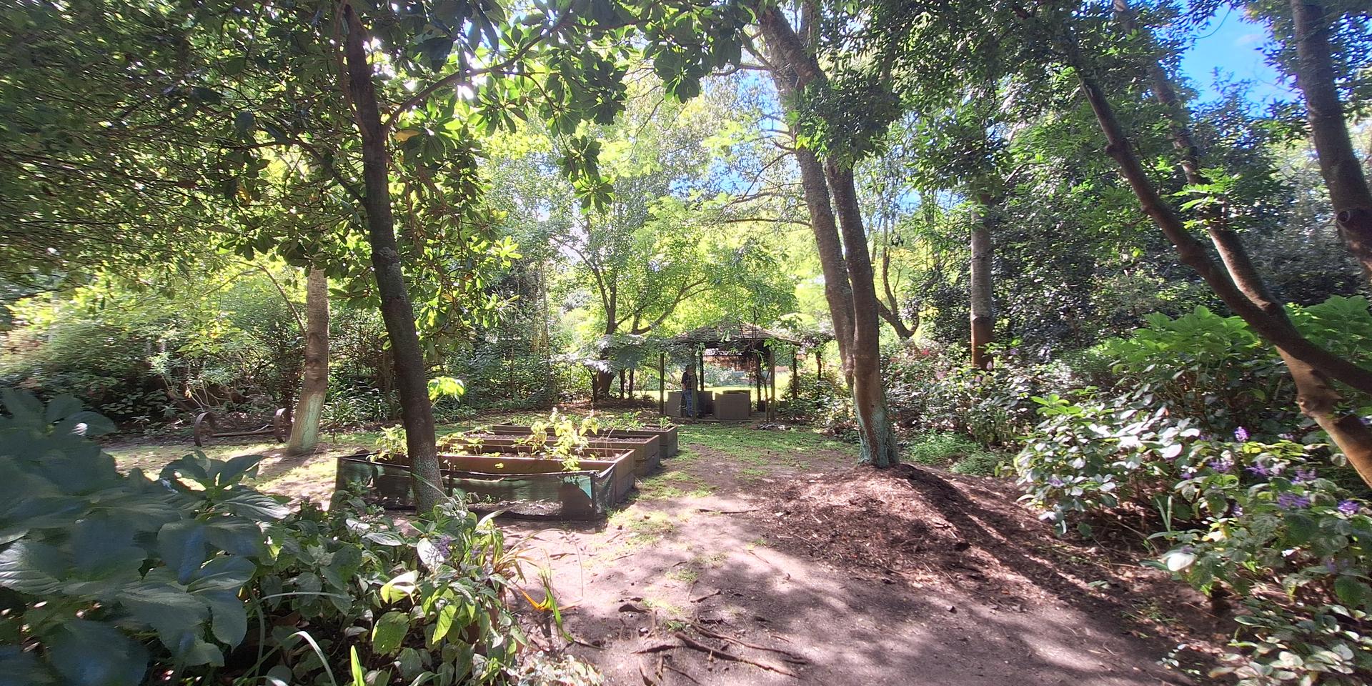 Image 5 of 6