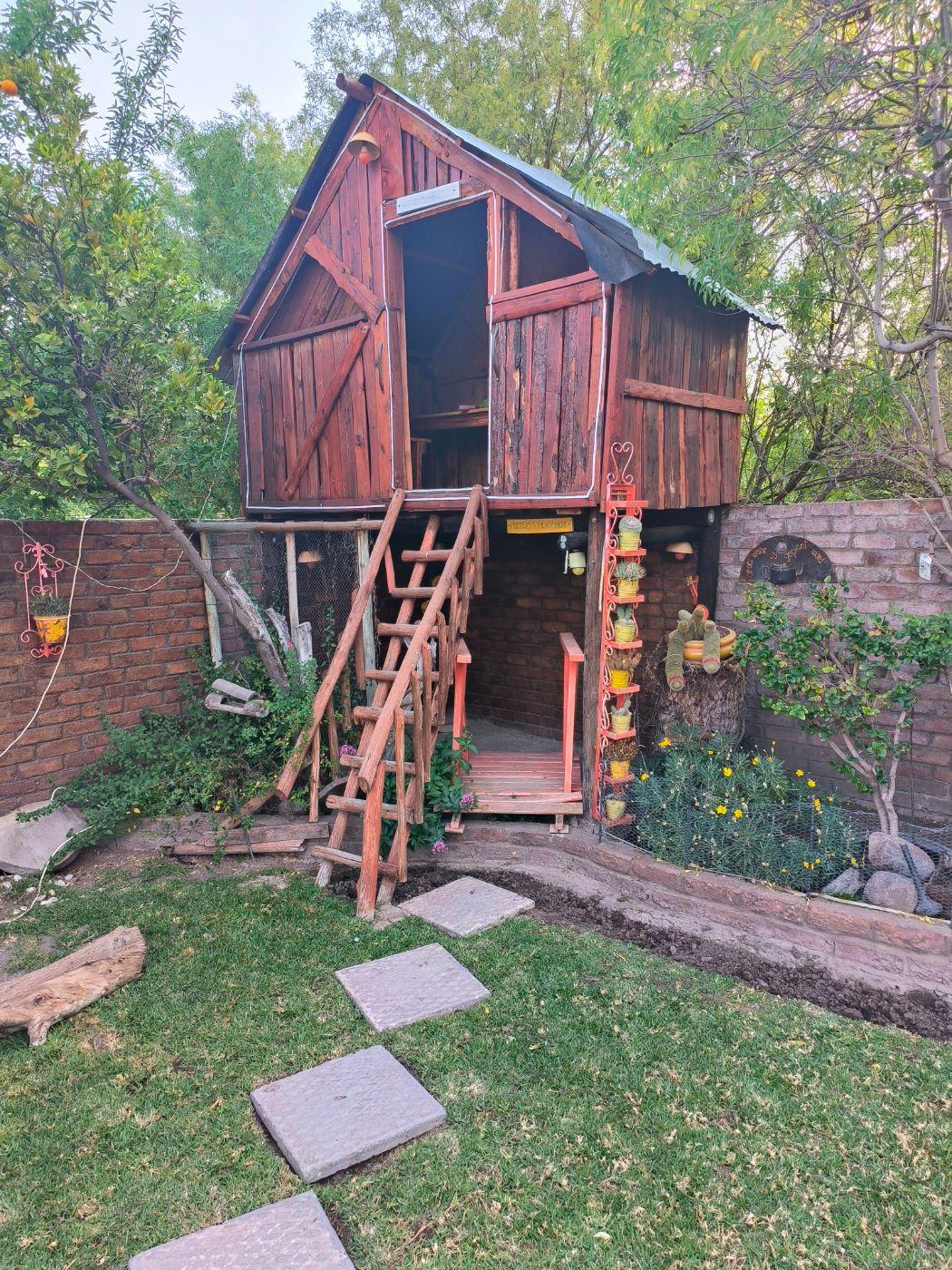 Image 6