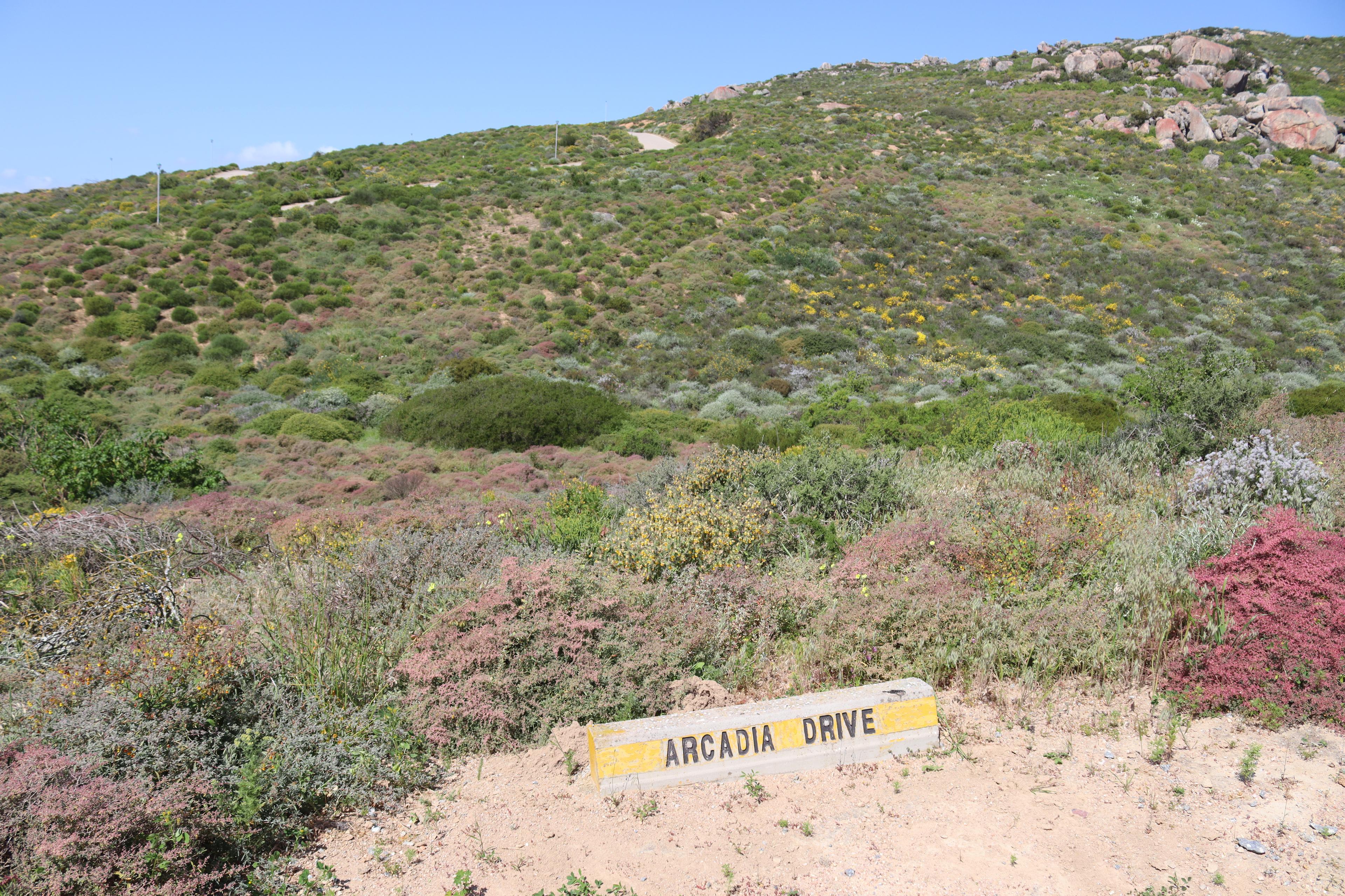 Image 5 of 6