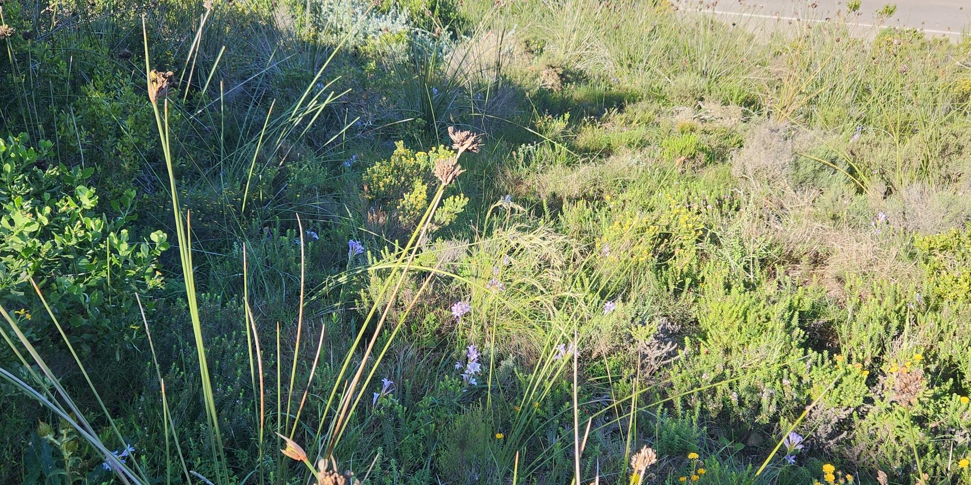 Image 5 of 6