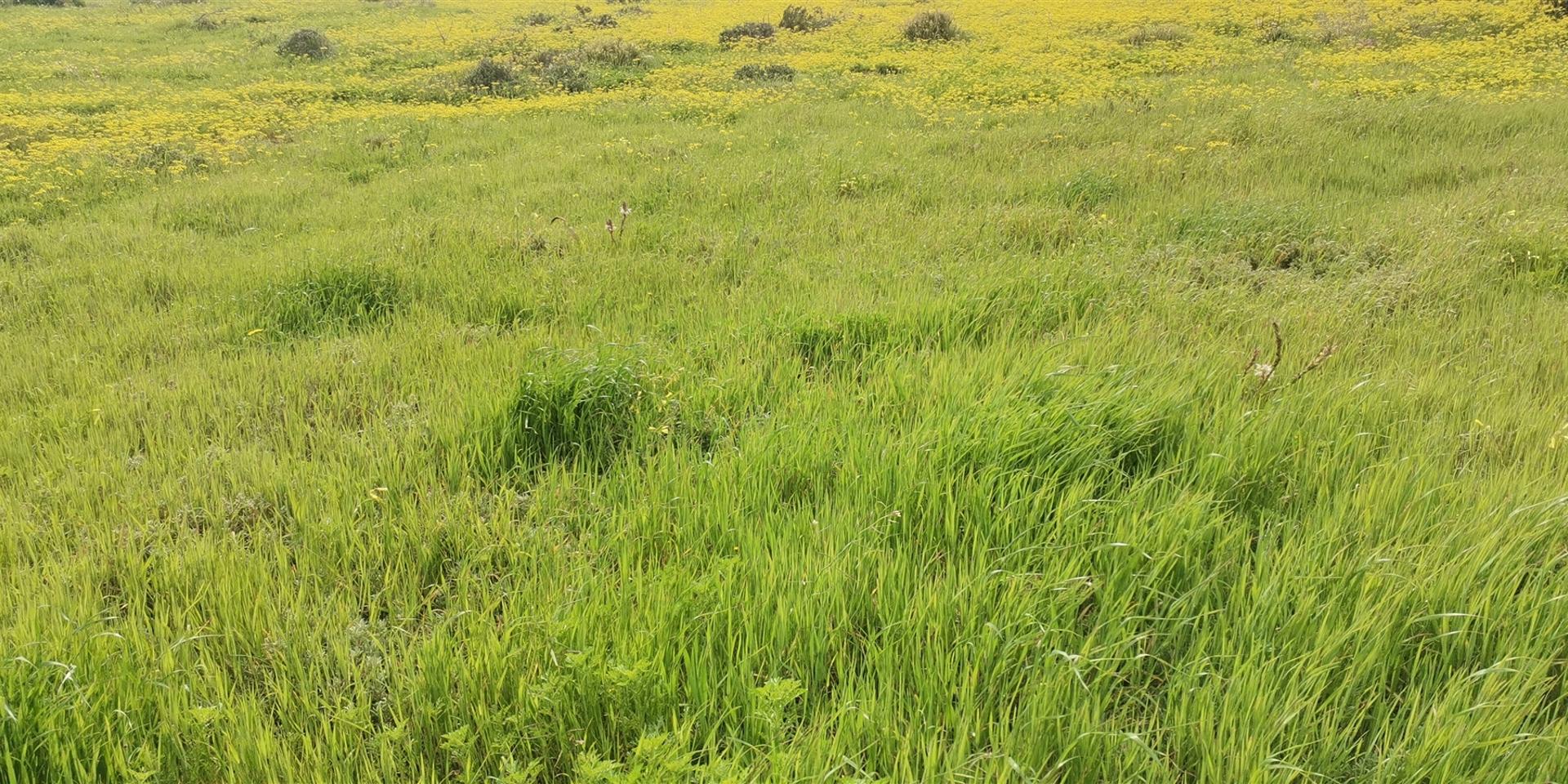 Image 3 of 6