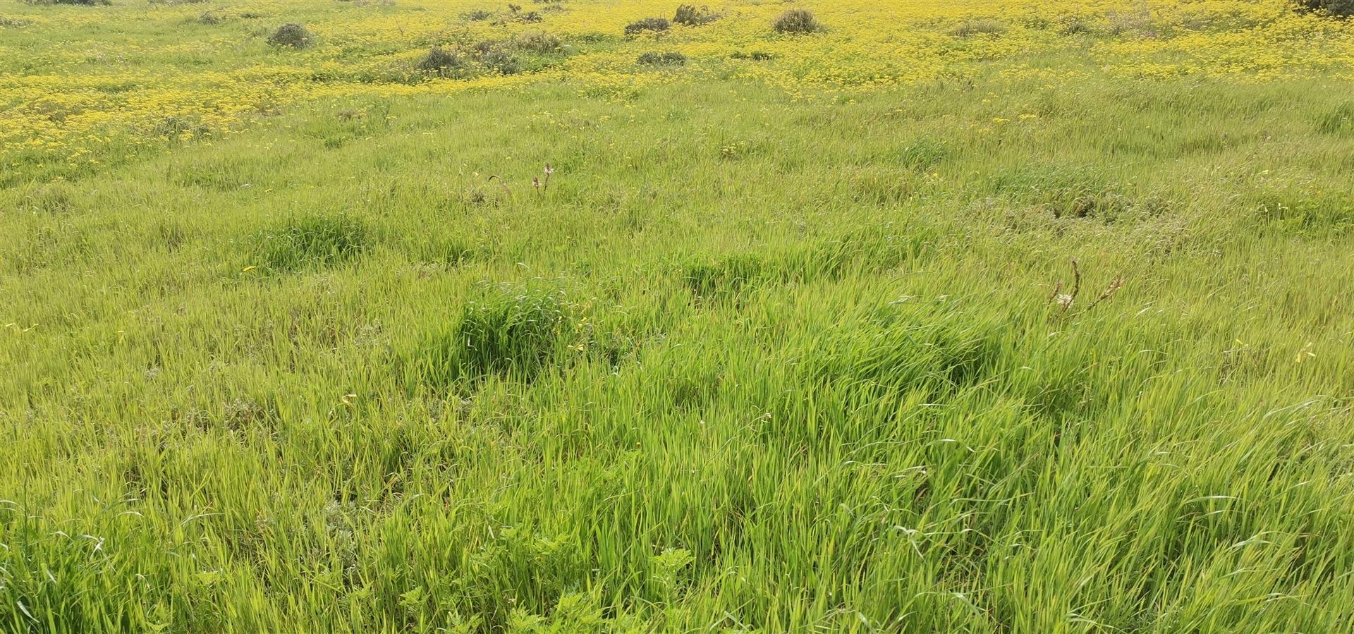Image 3 of 6
