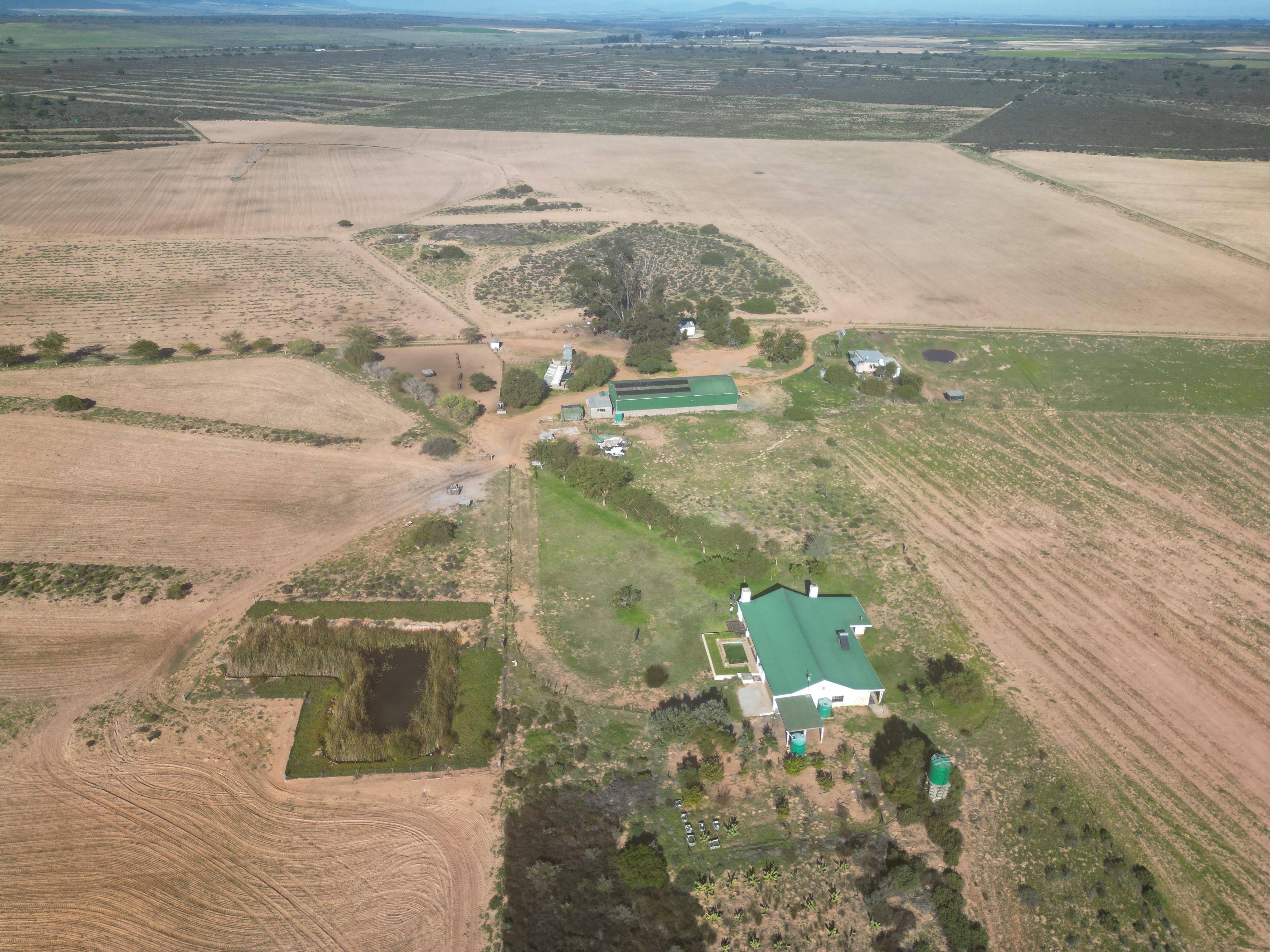 Image 13