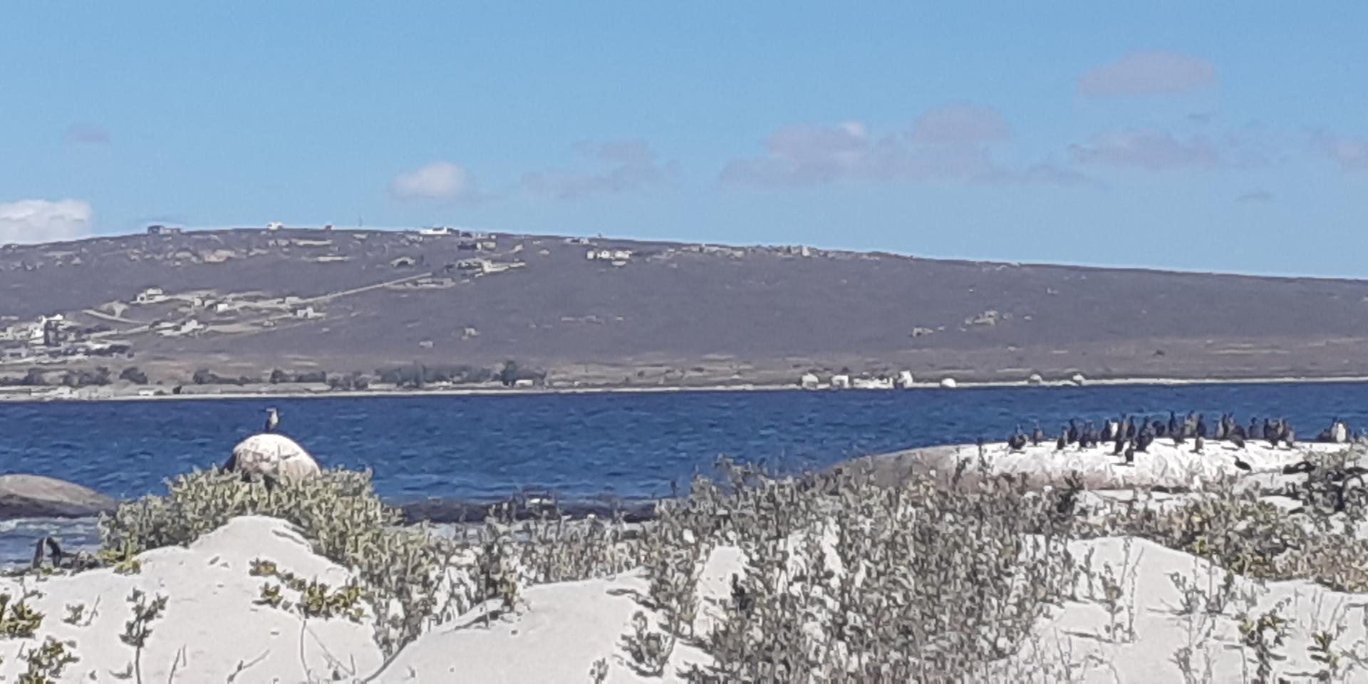 Image 4 of 6