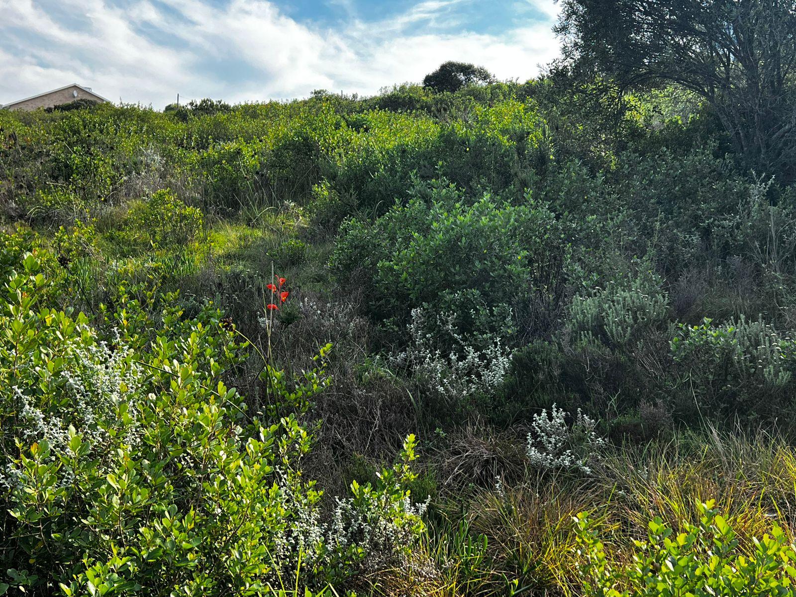 Image 5 of 6