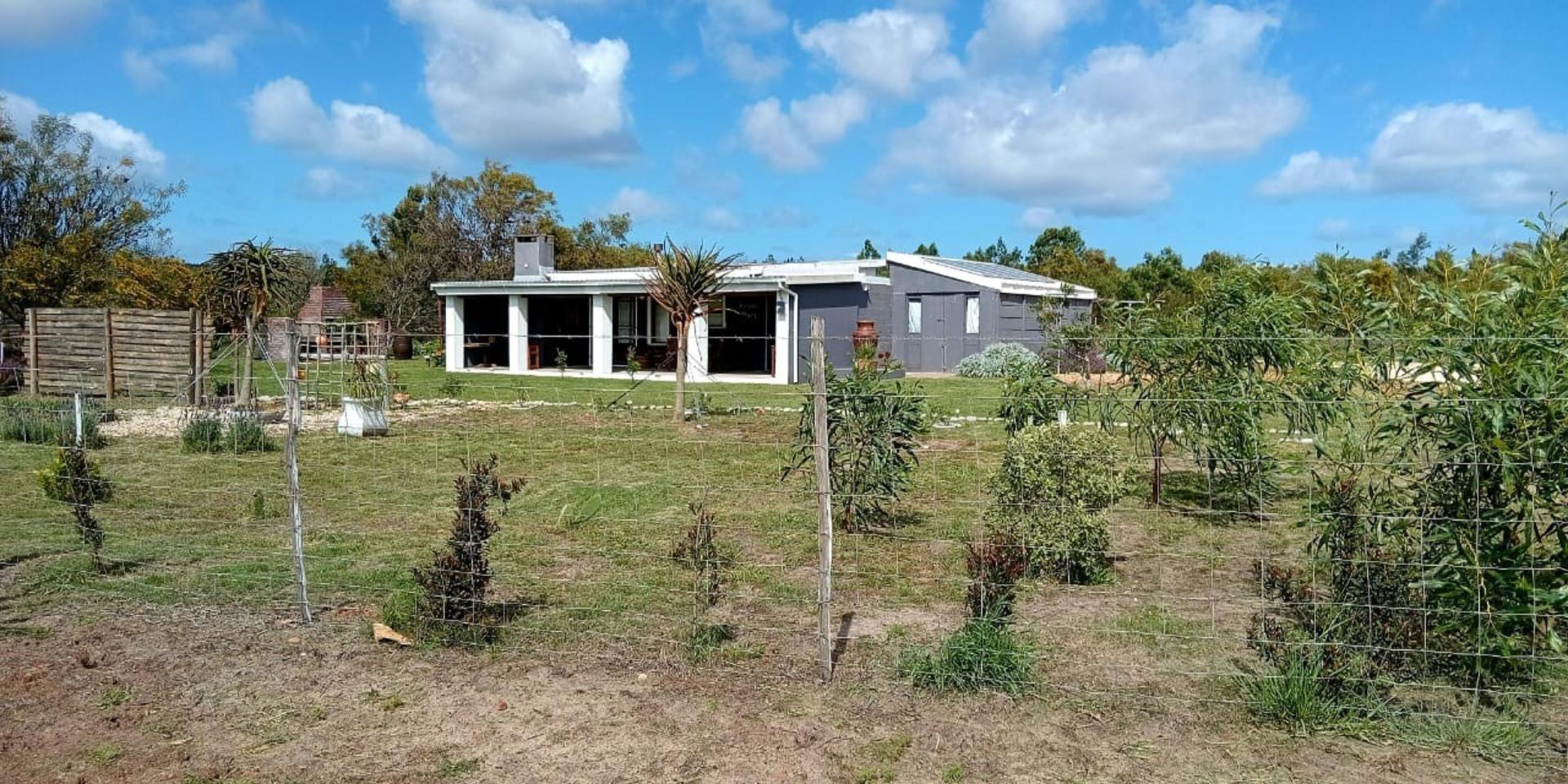 Image 5 of 6
