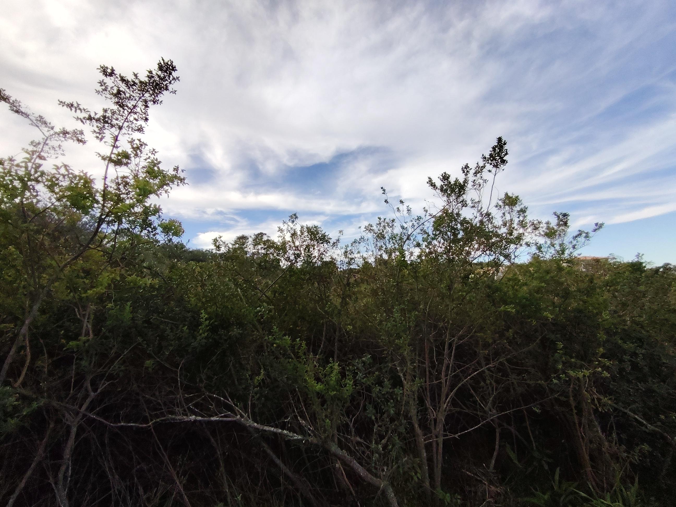 Image 3 of 6