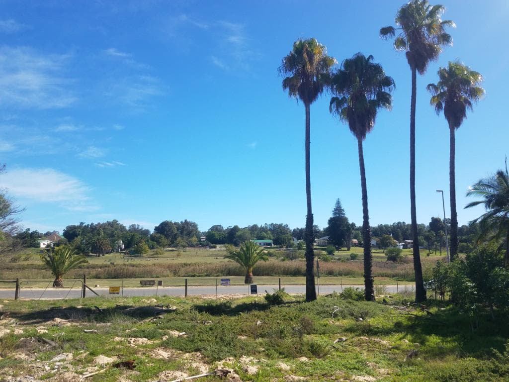 Image 5 of 6