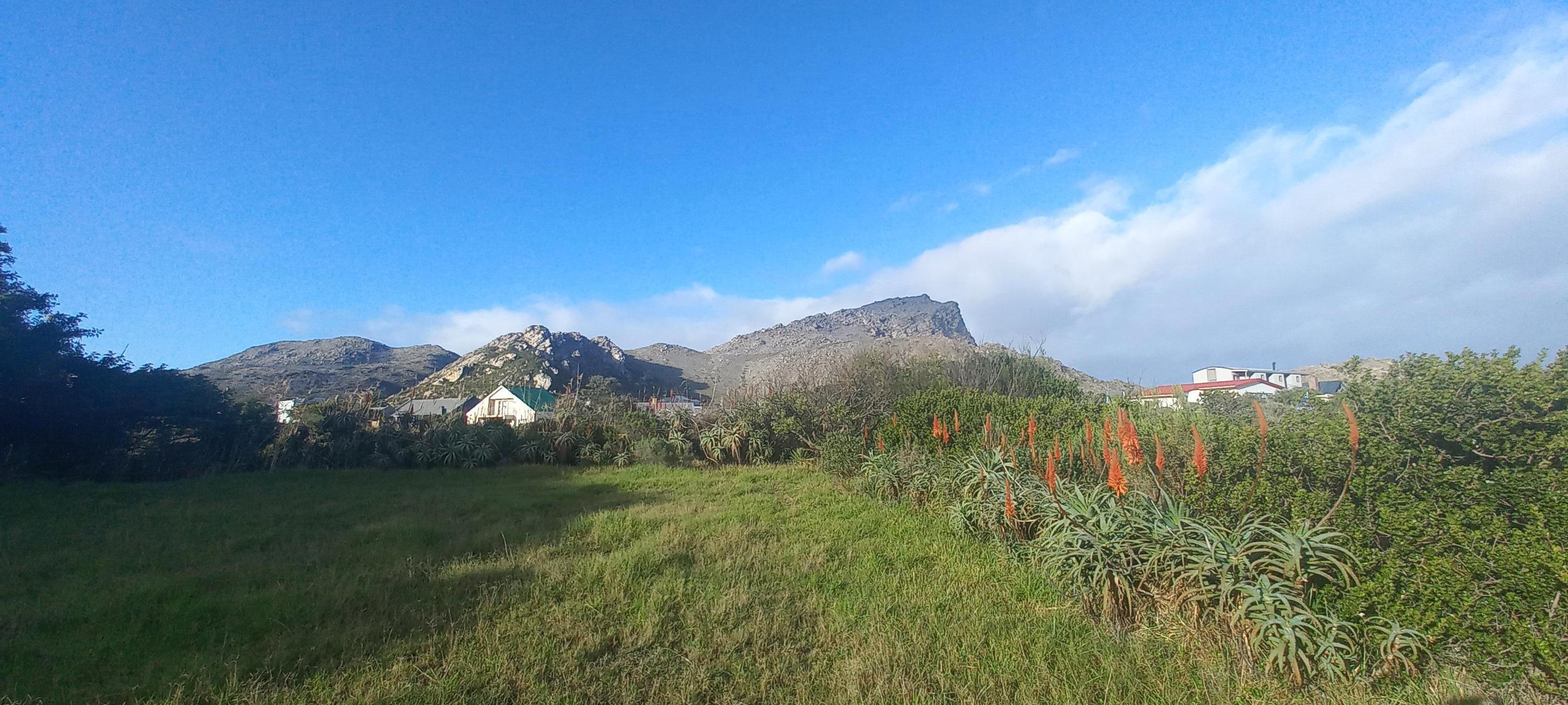 Image 4 of 6