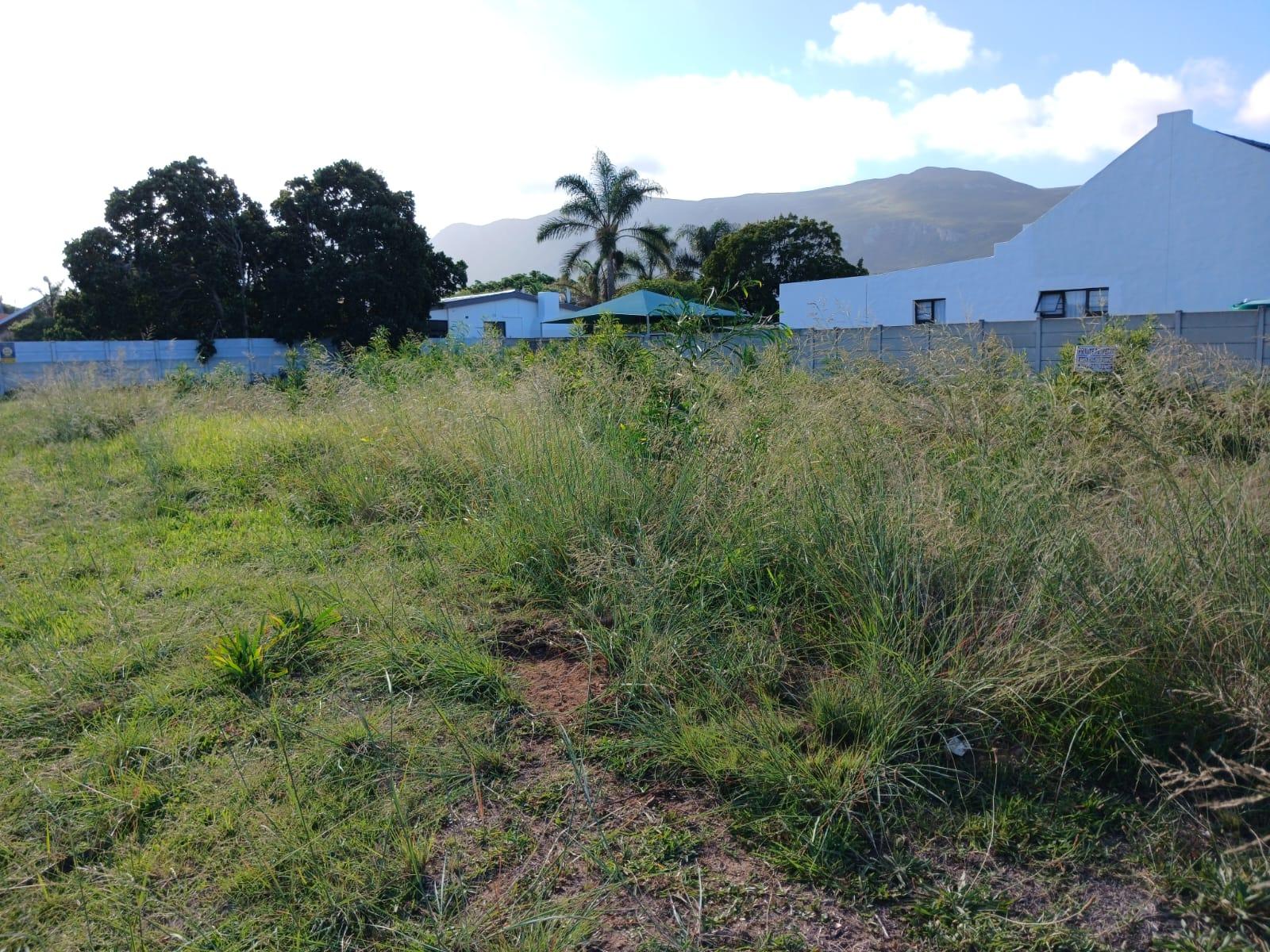 Image 5 of 6