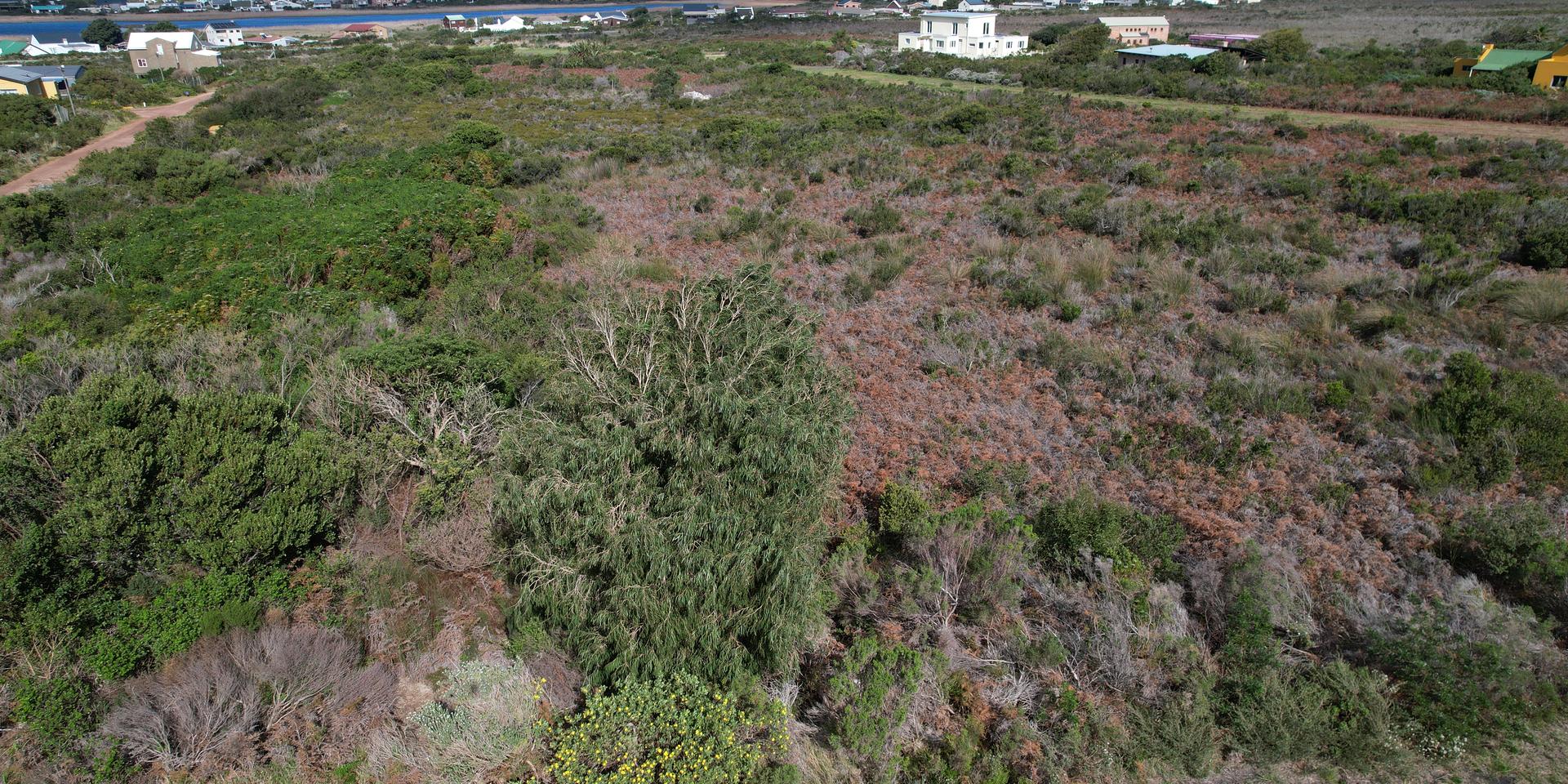 Image 3 of 6