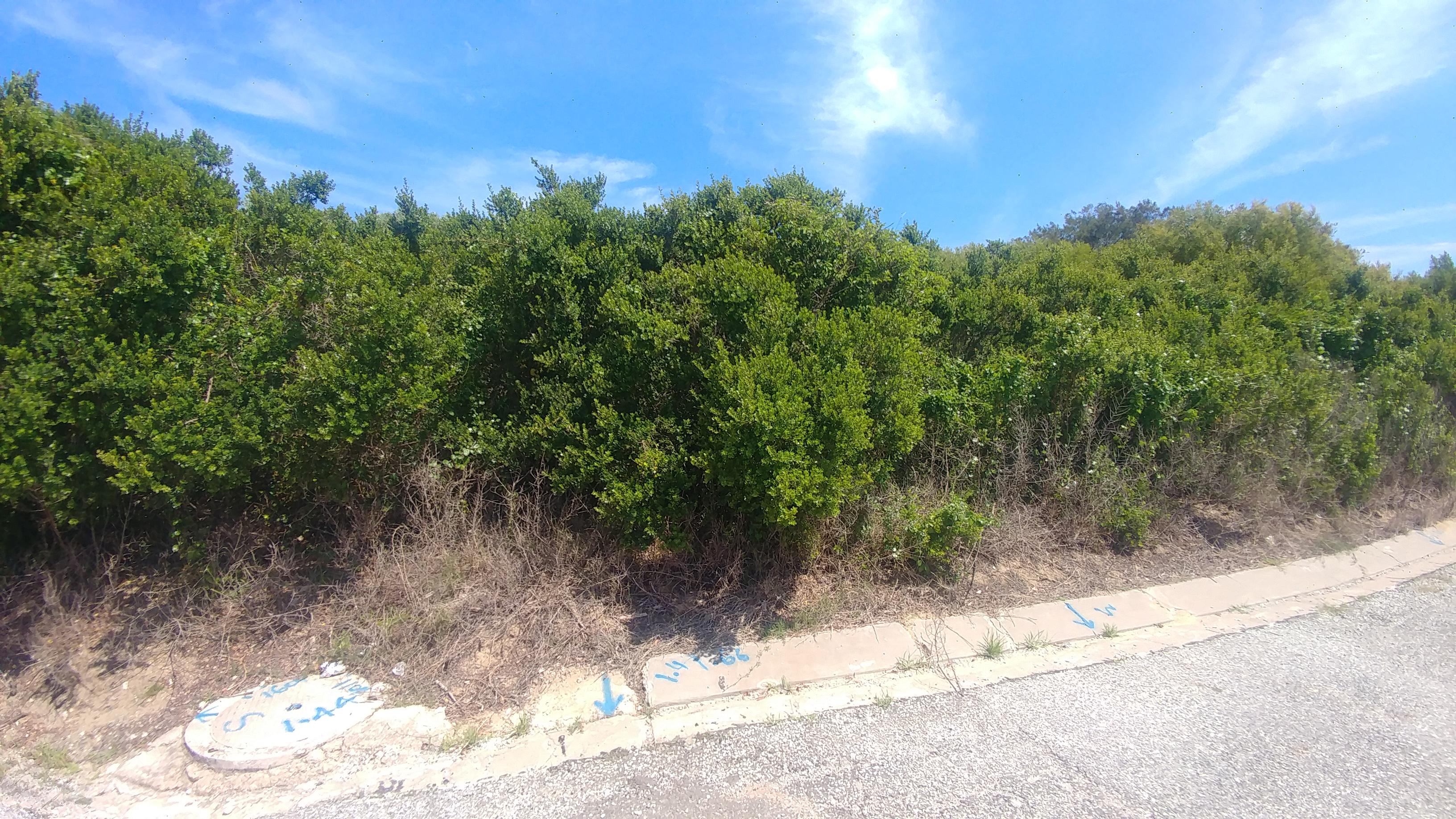 Image 5 of 6