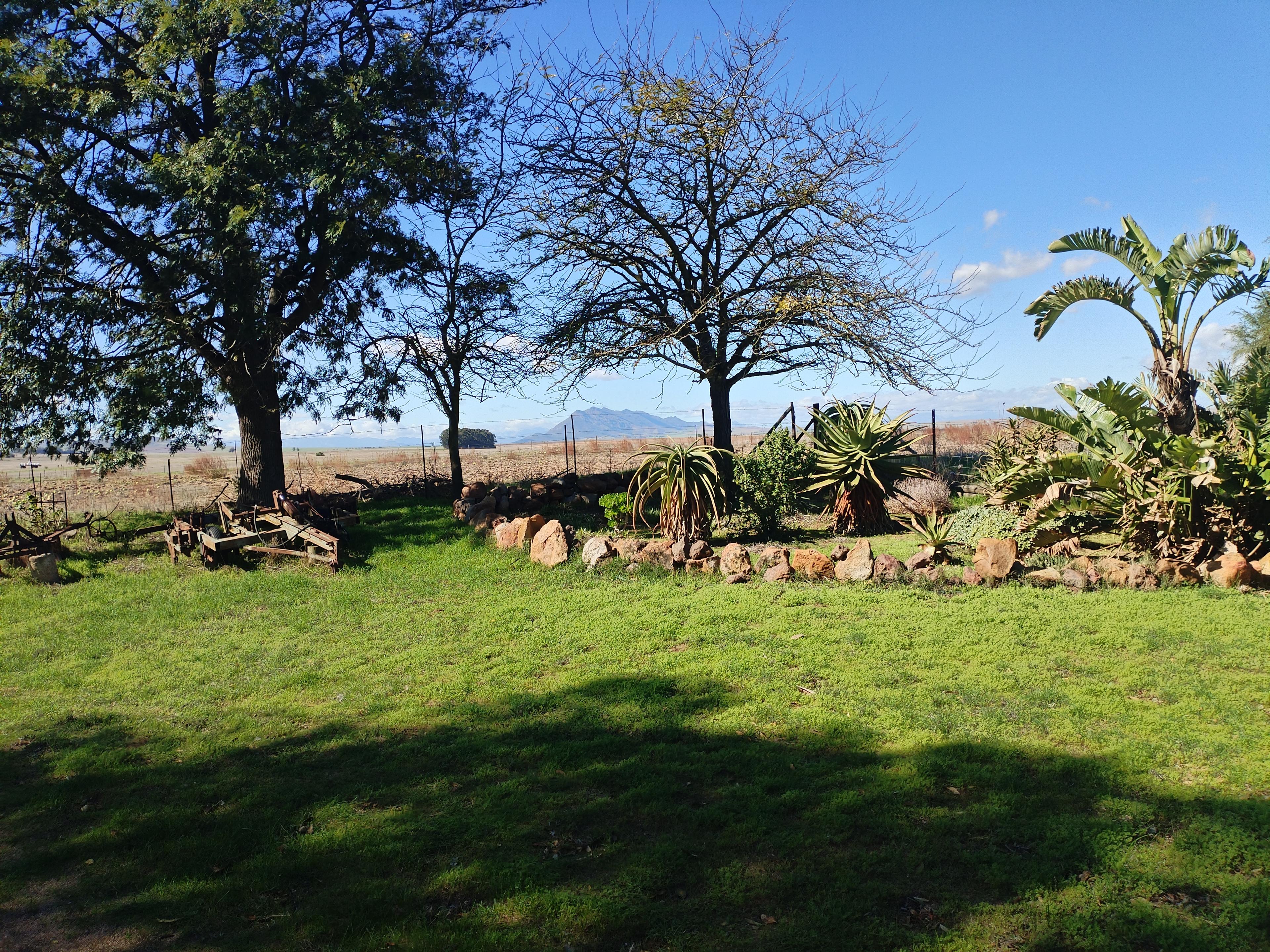Image 38