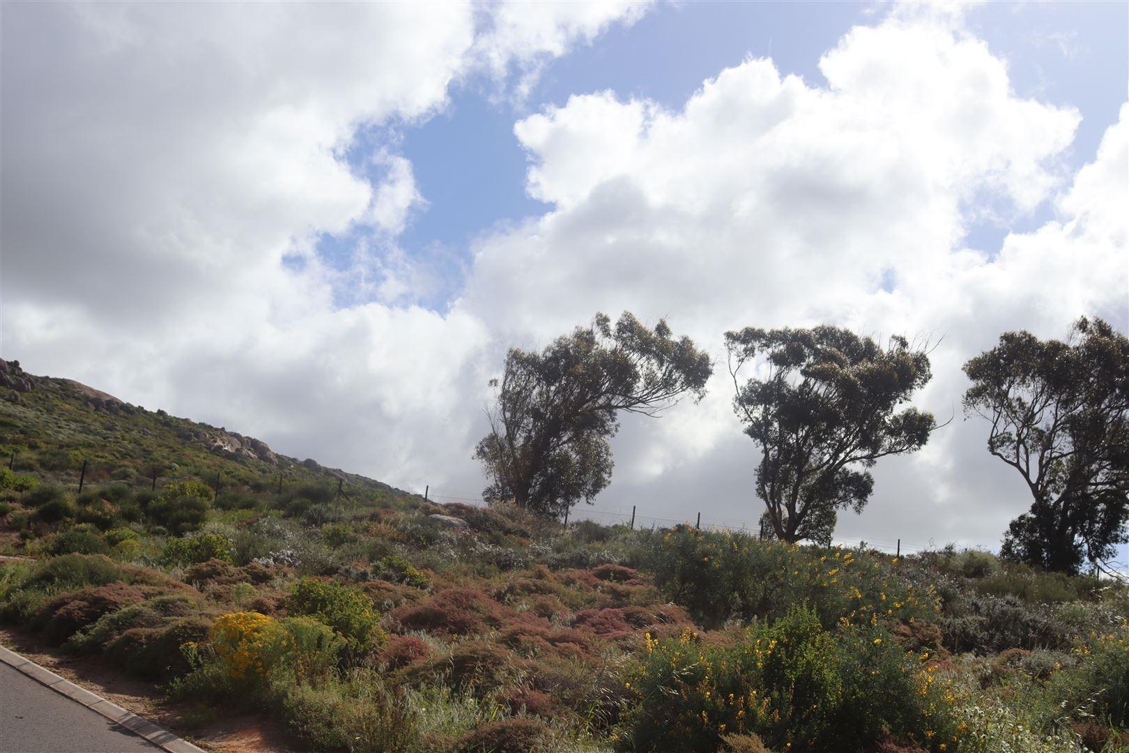 Image 13