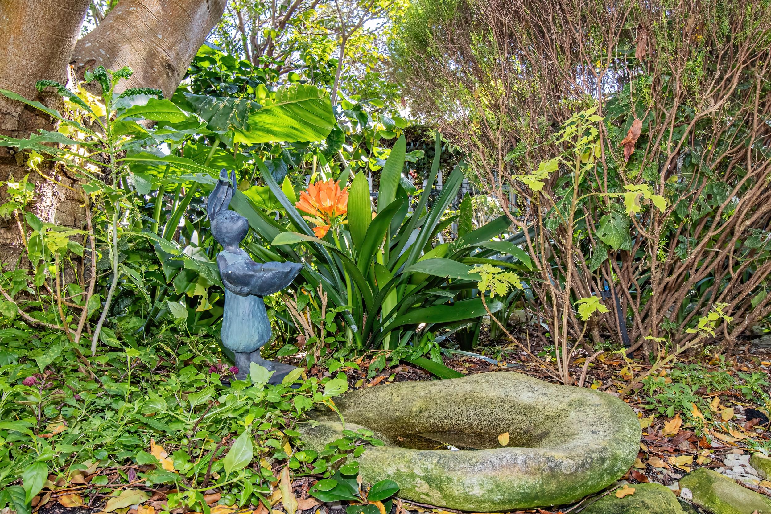 Image 34