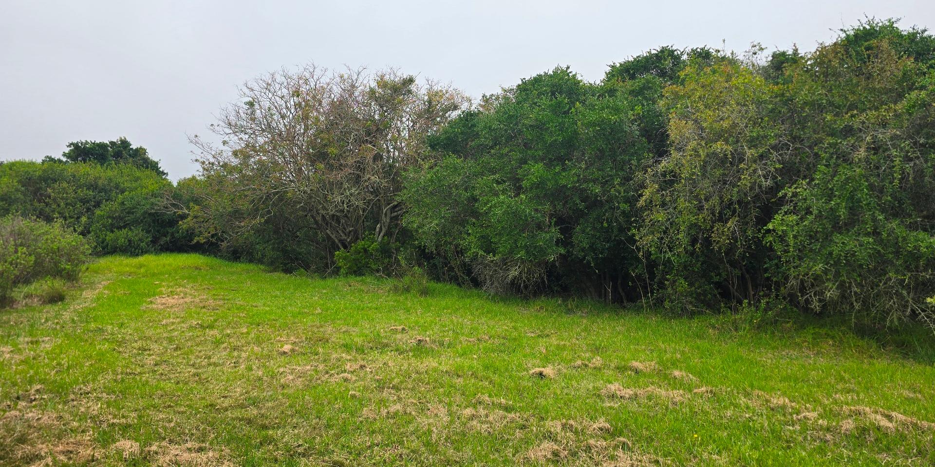 Image 4 of 6