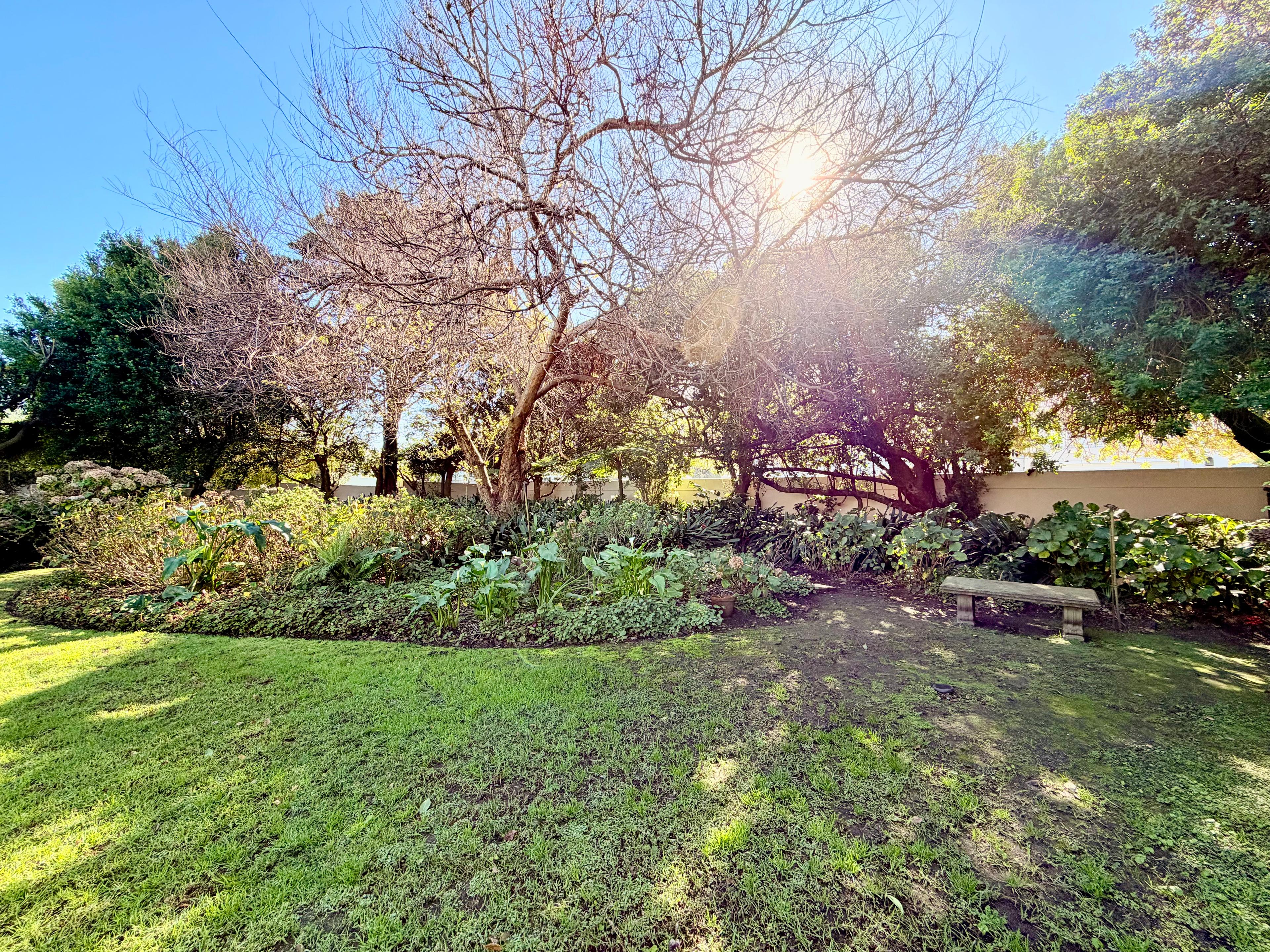 Image 18