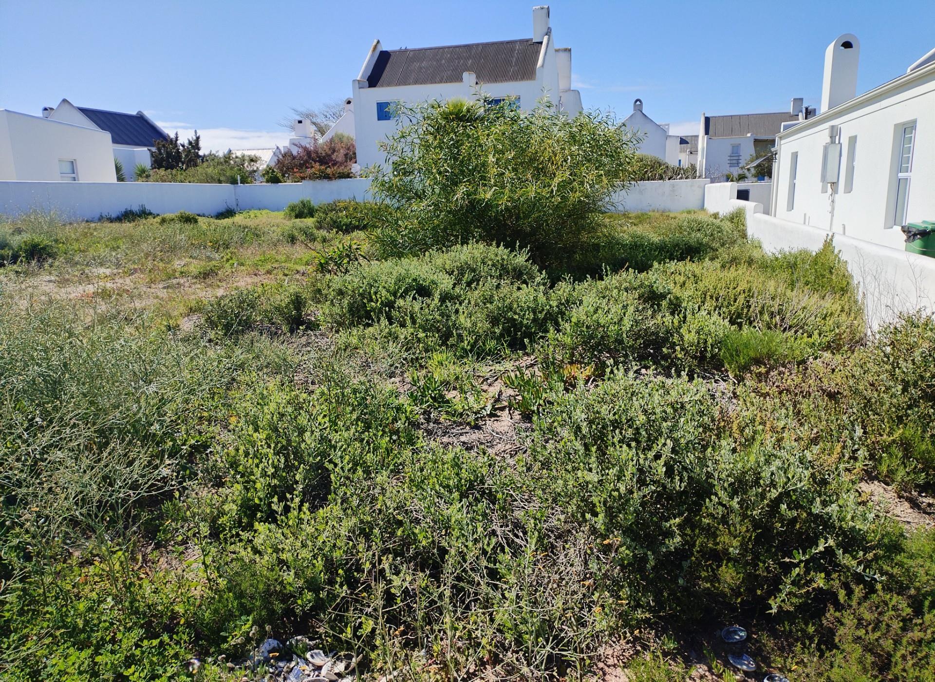 Image 5 of 6