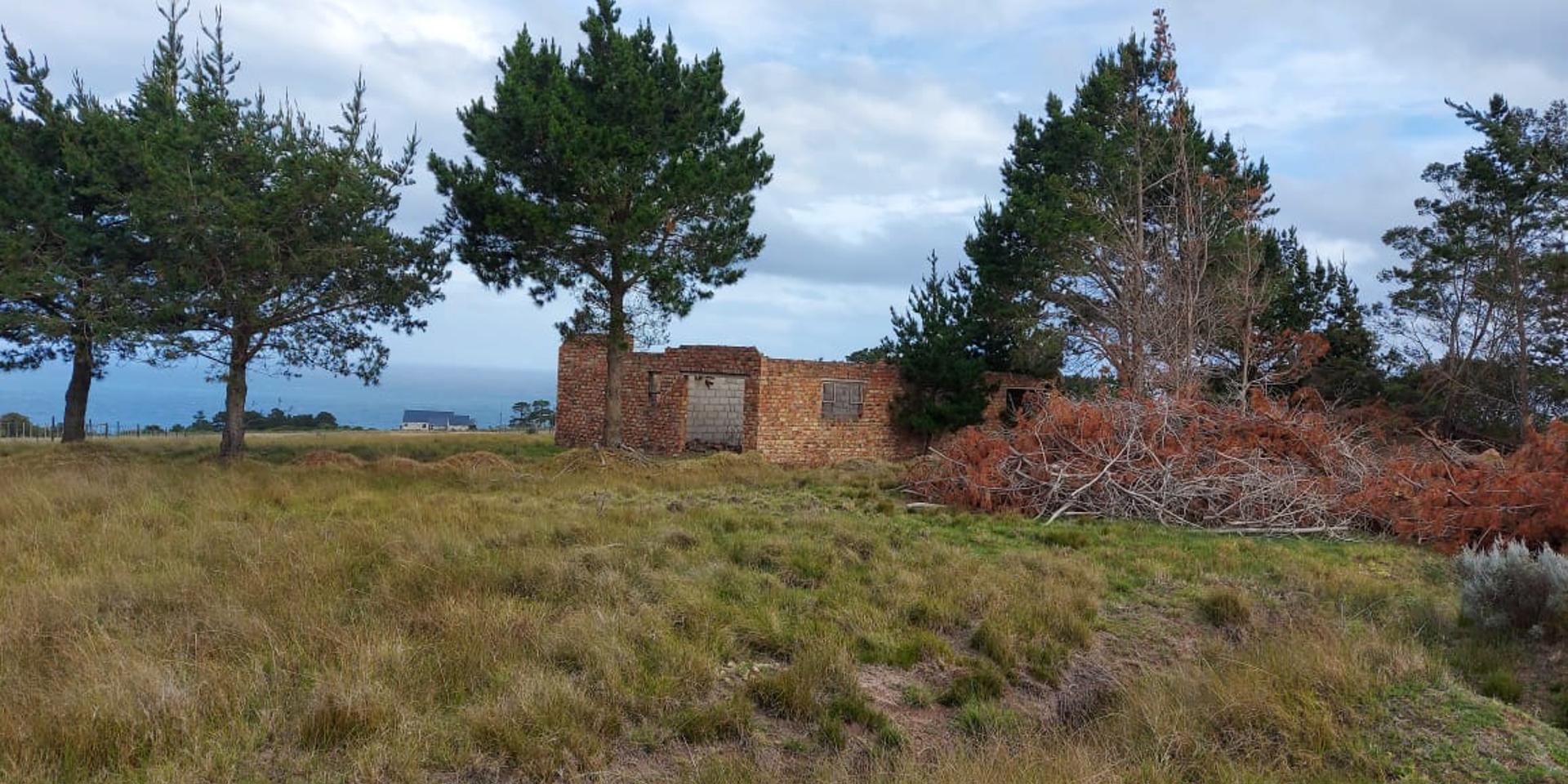 Image 2 of 6