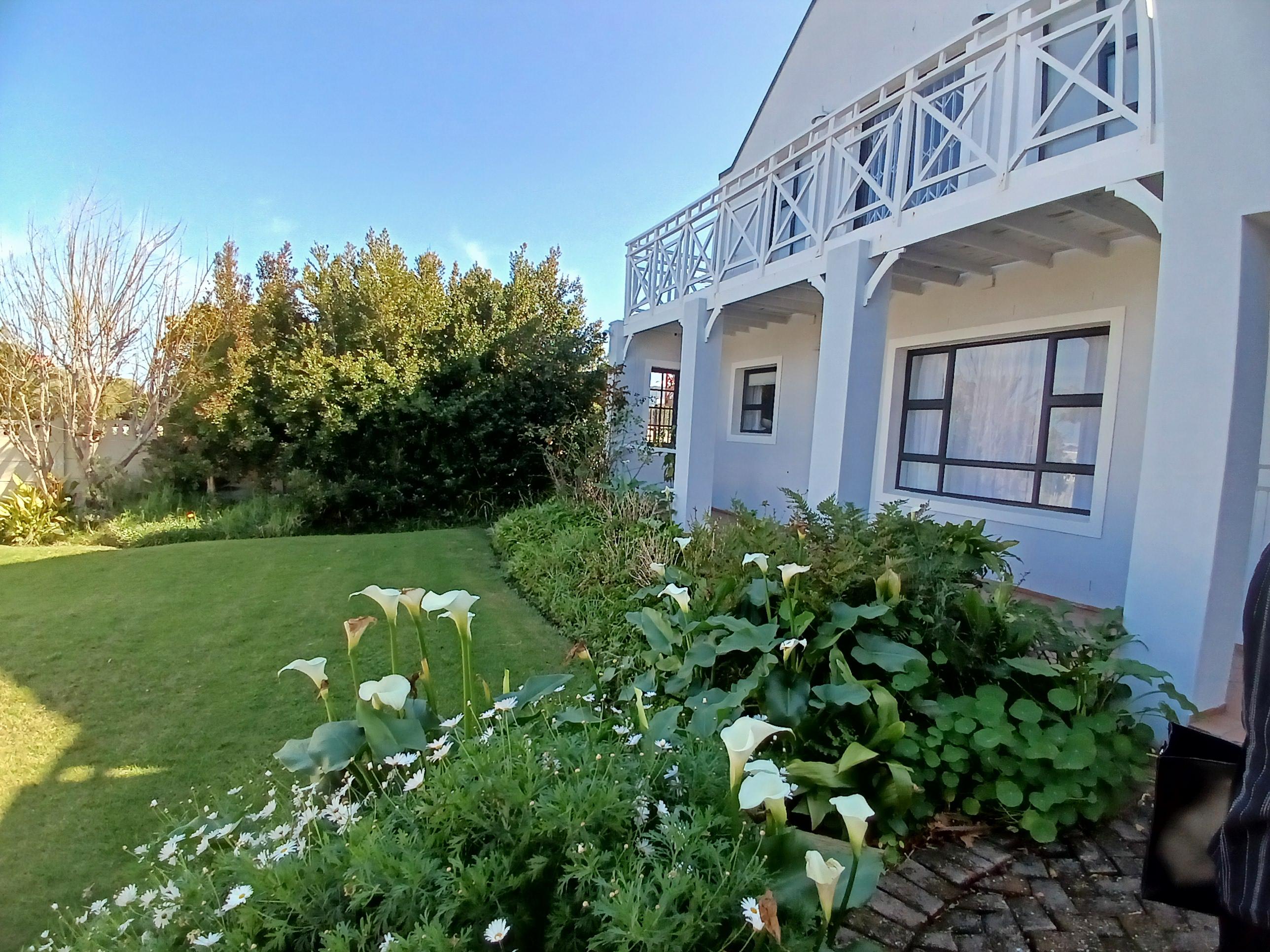 Image 33