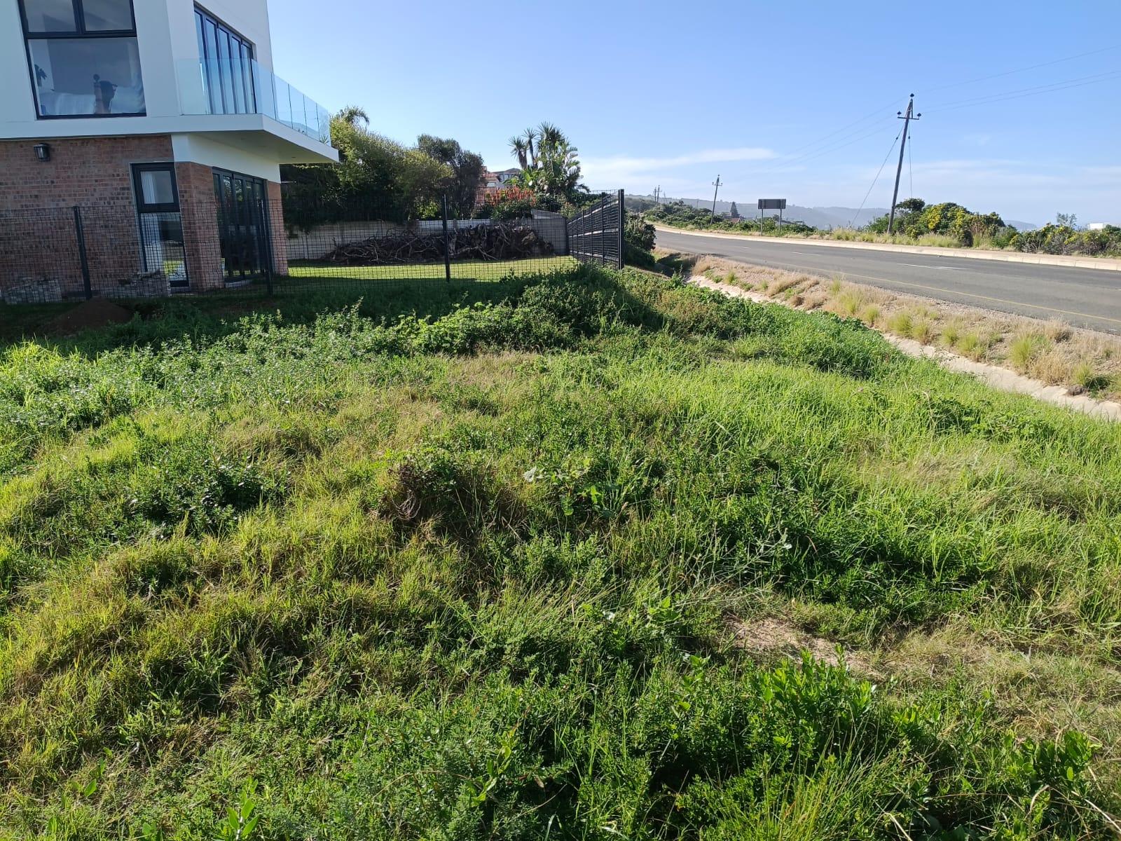 Image 4 of 6