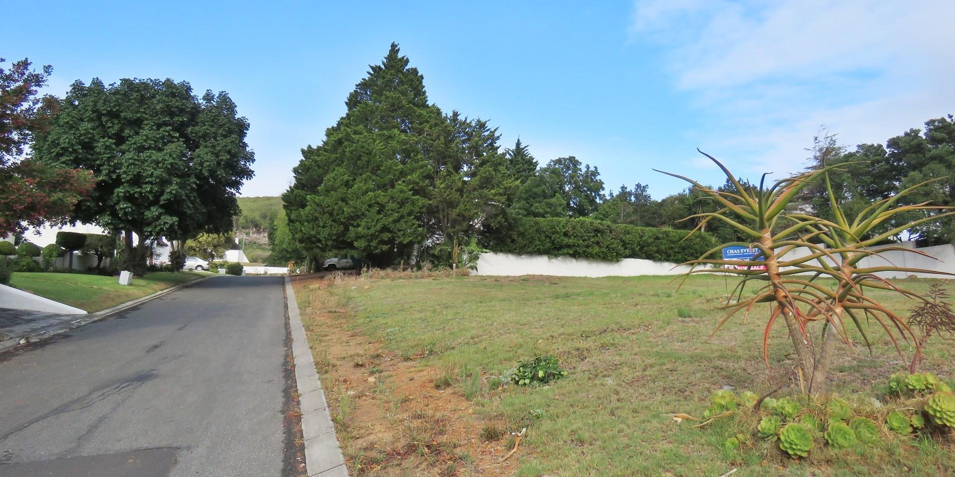Image 4 of 6