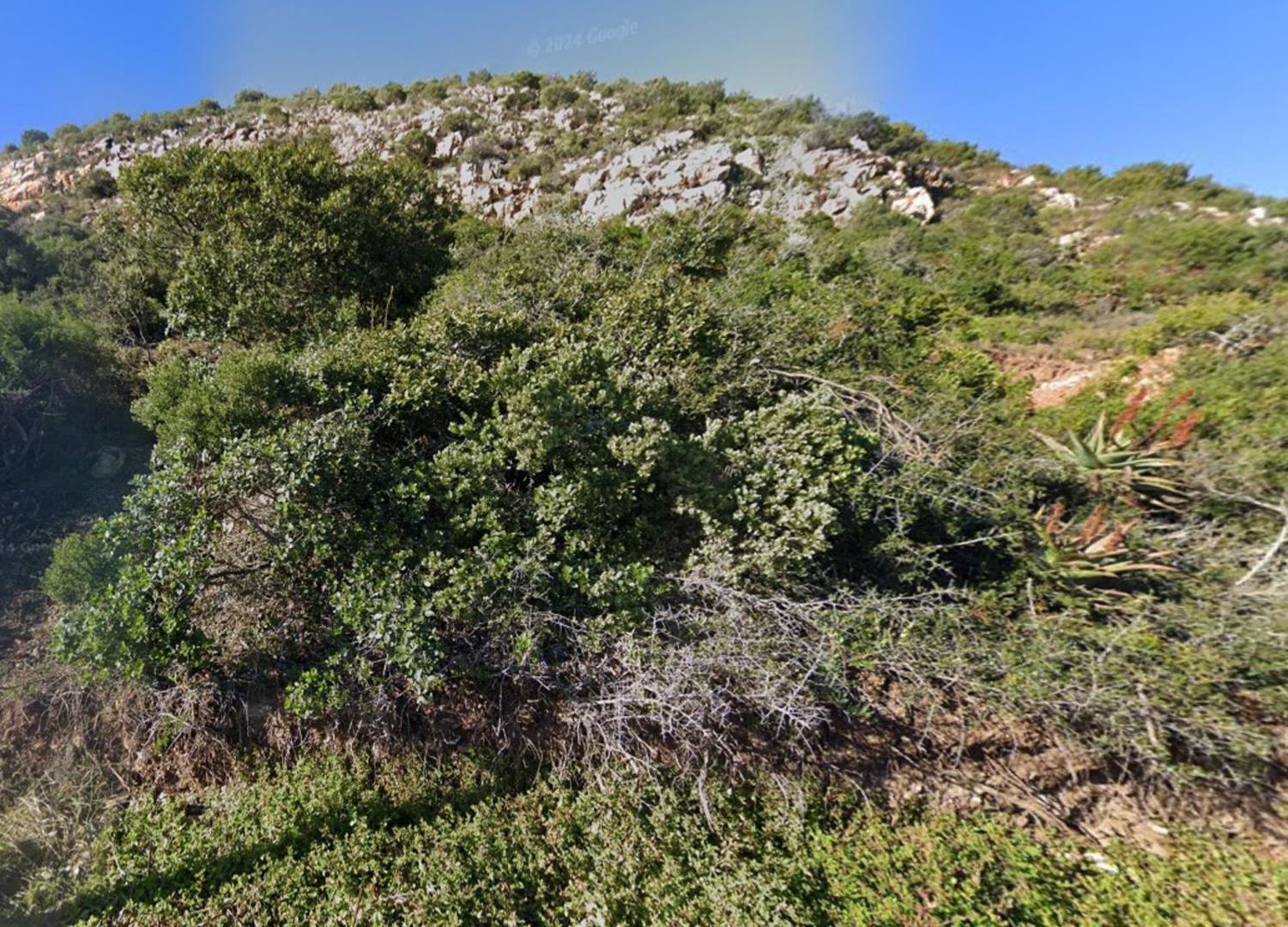 Image 13