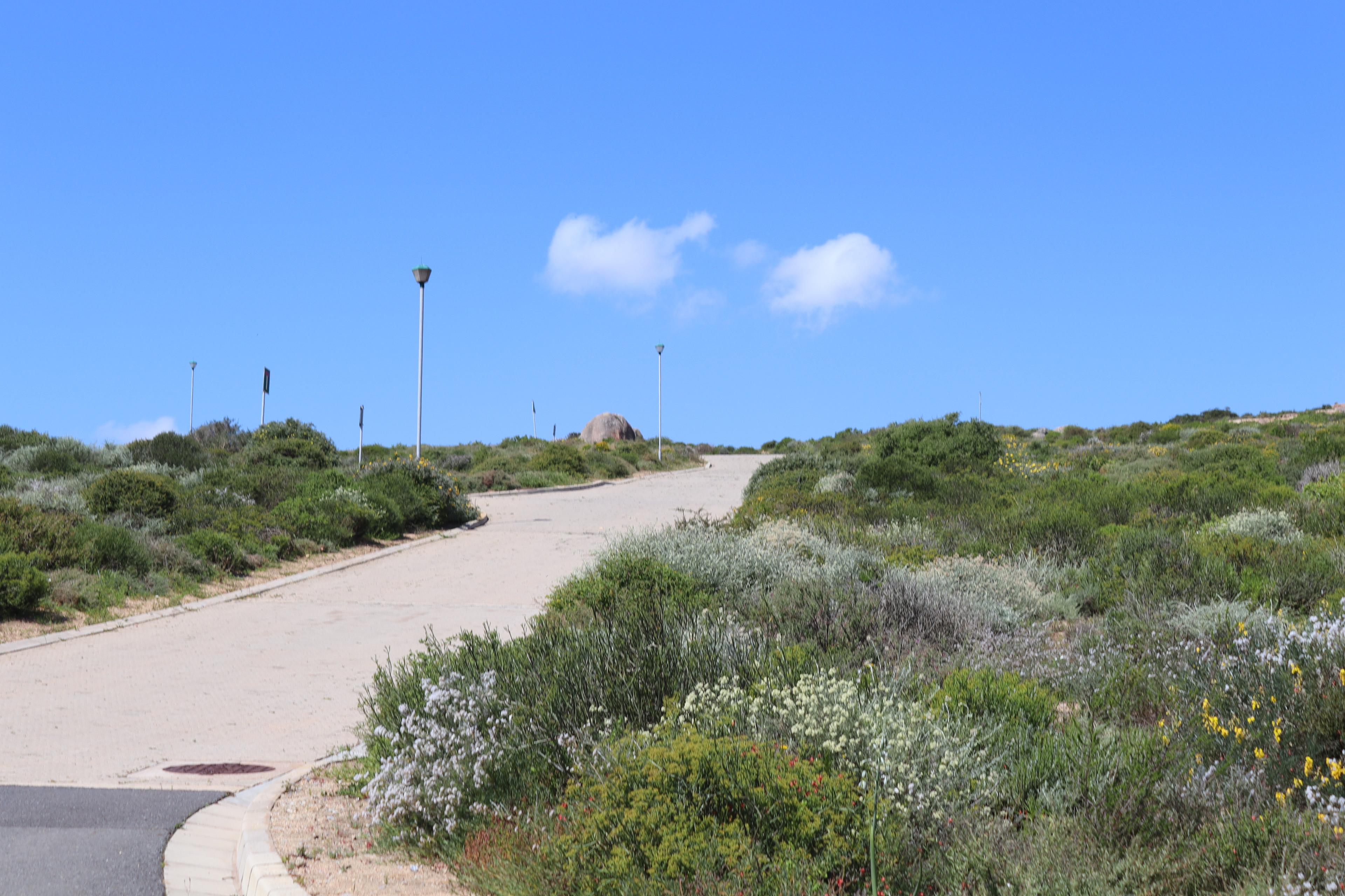 Image 5 of 6