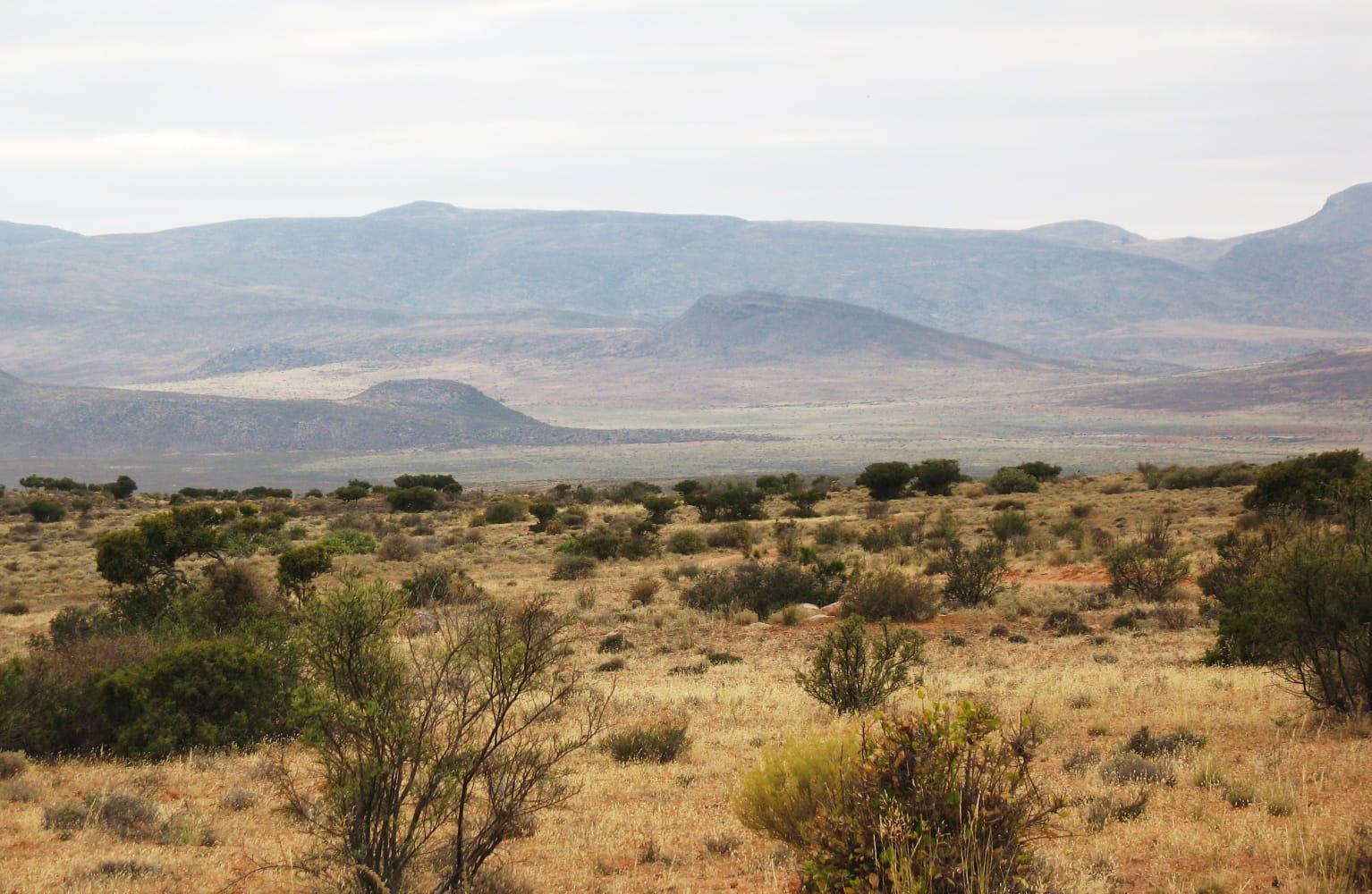 Image 32