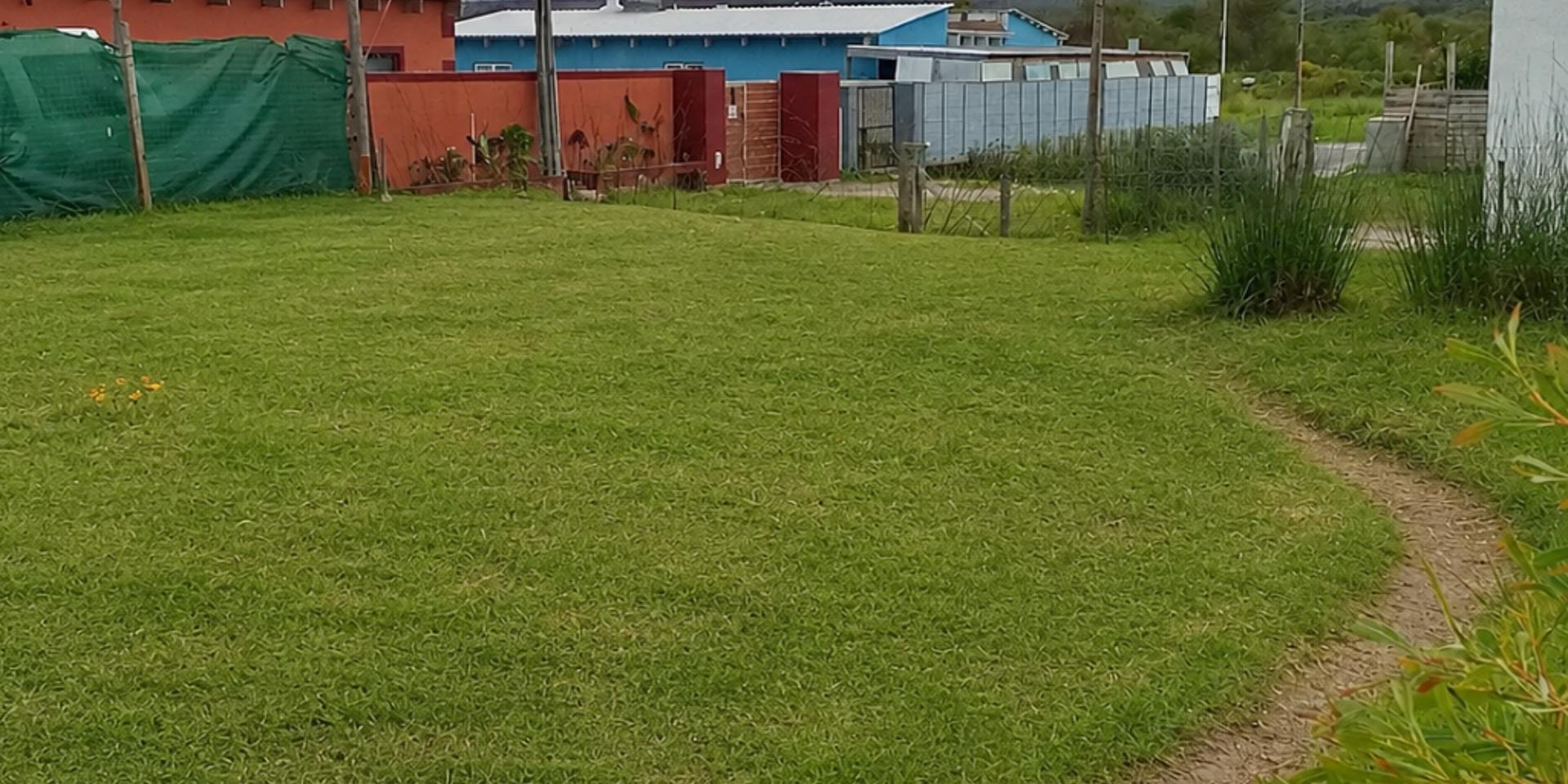 Image 5 of 6