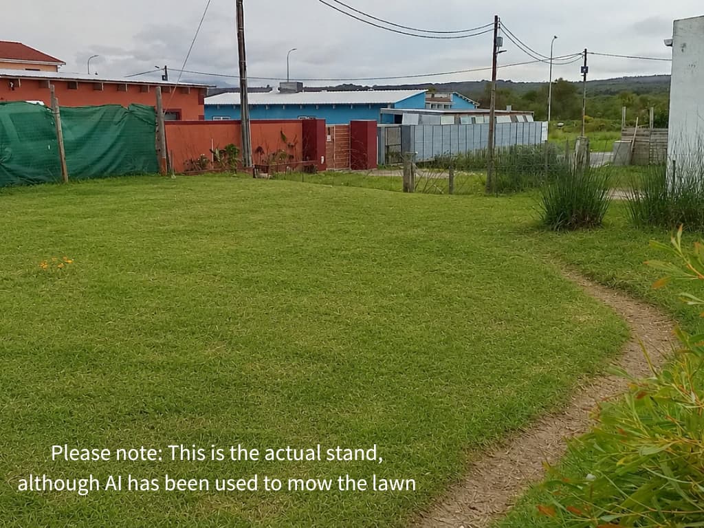 Image 5 of 6