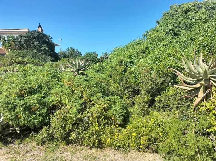 Main property image