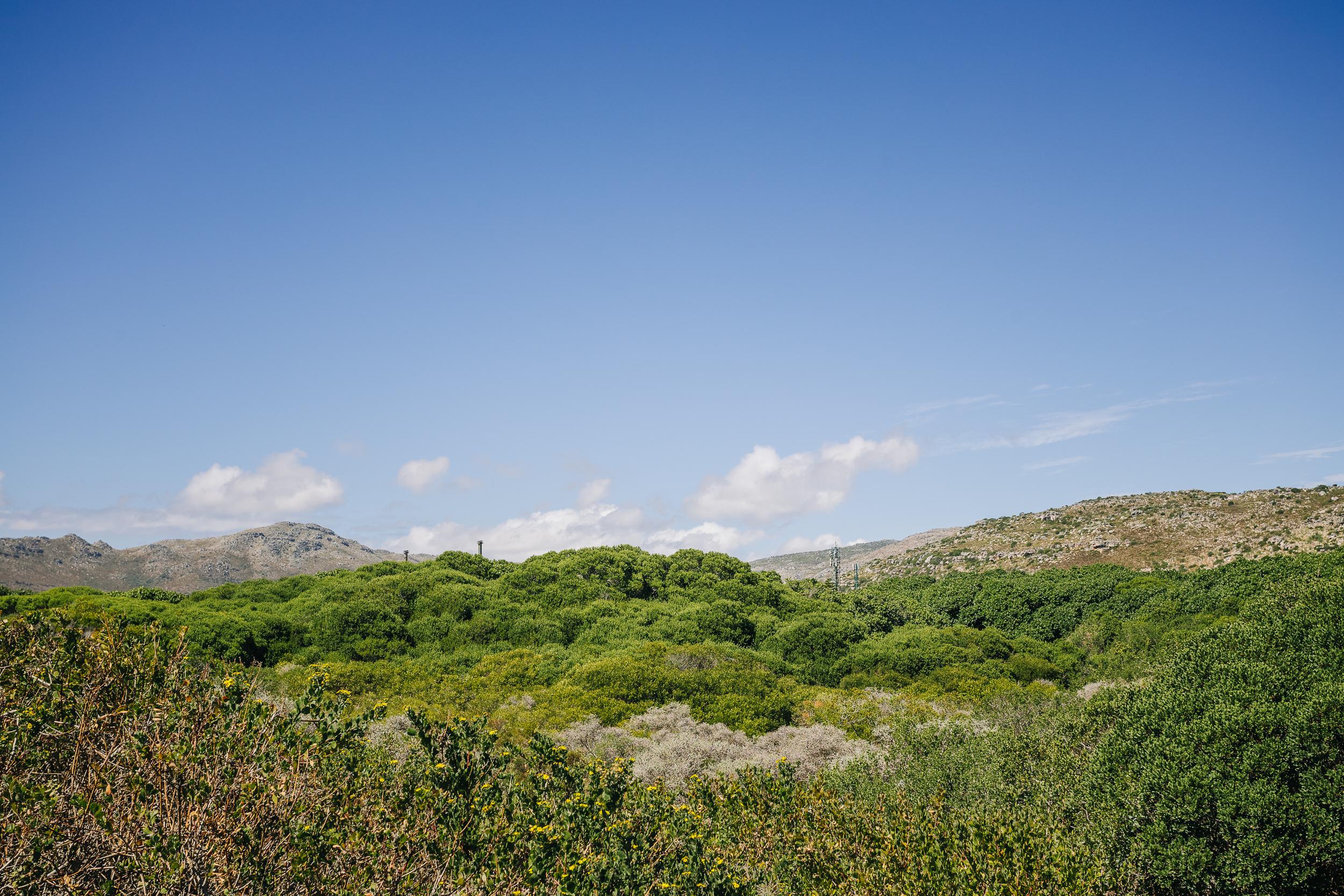 Image 25