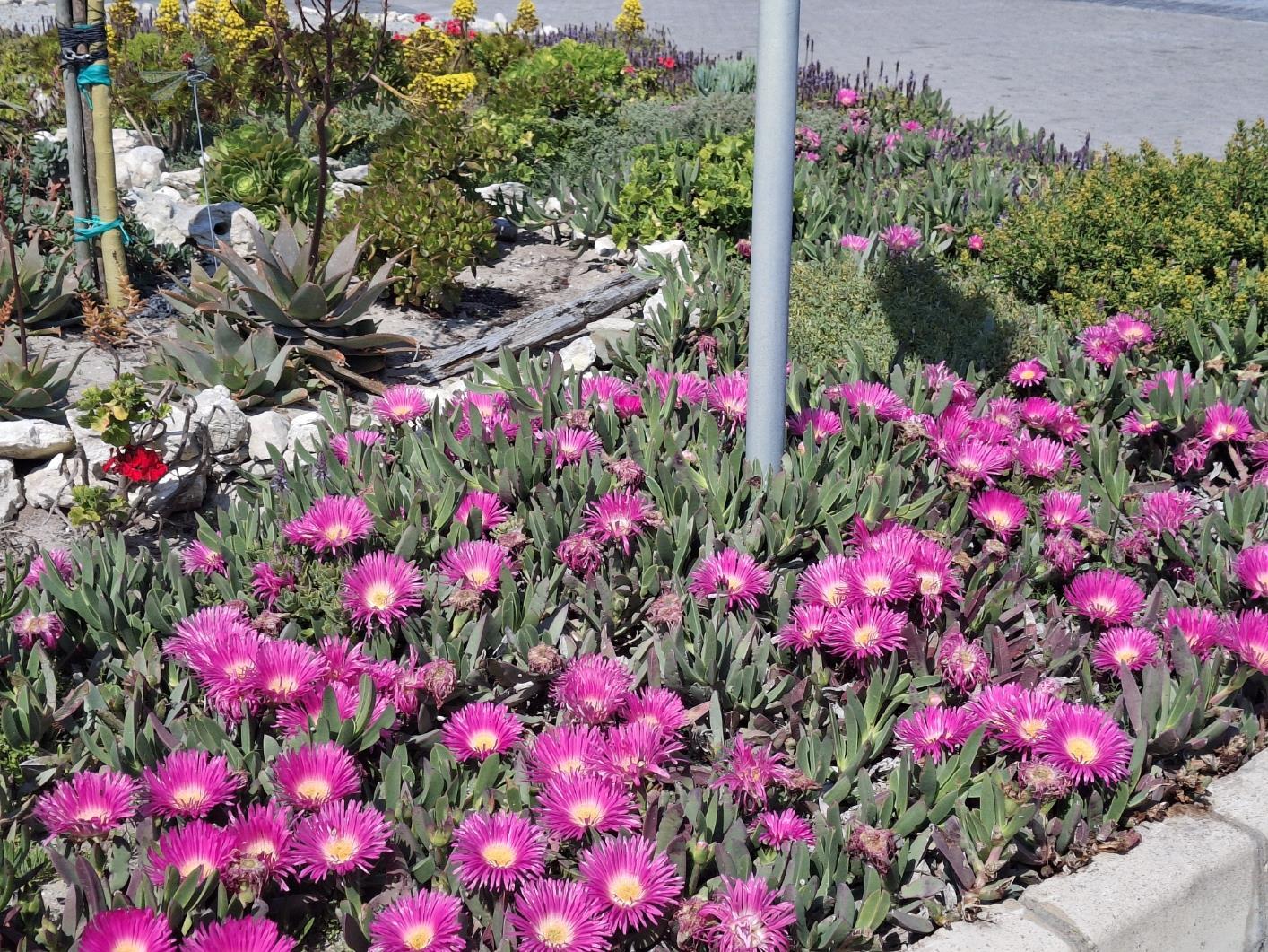 Image 14
