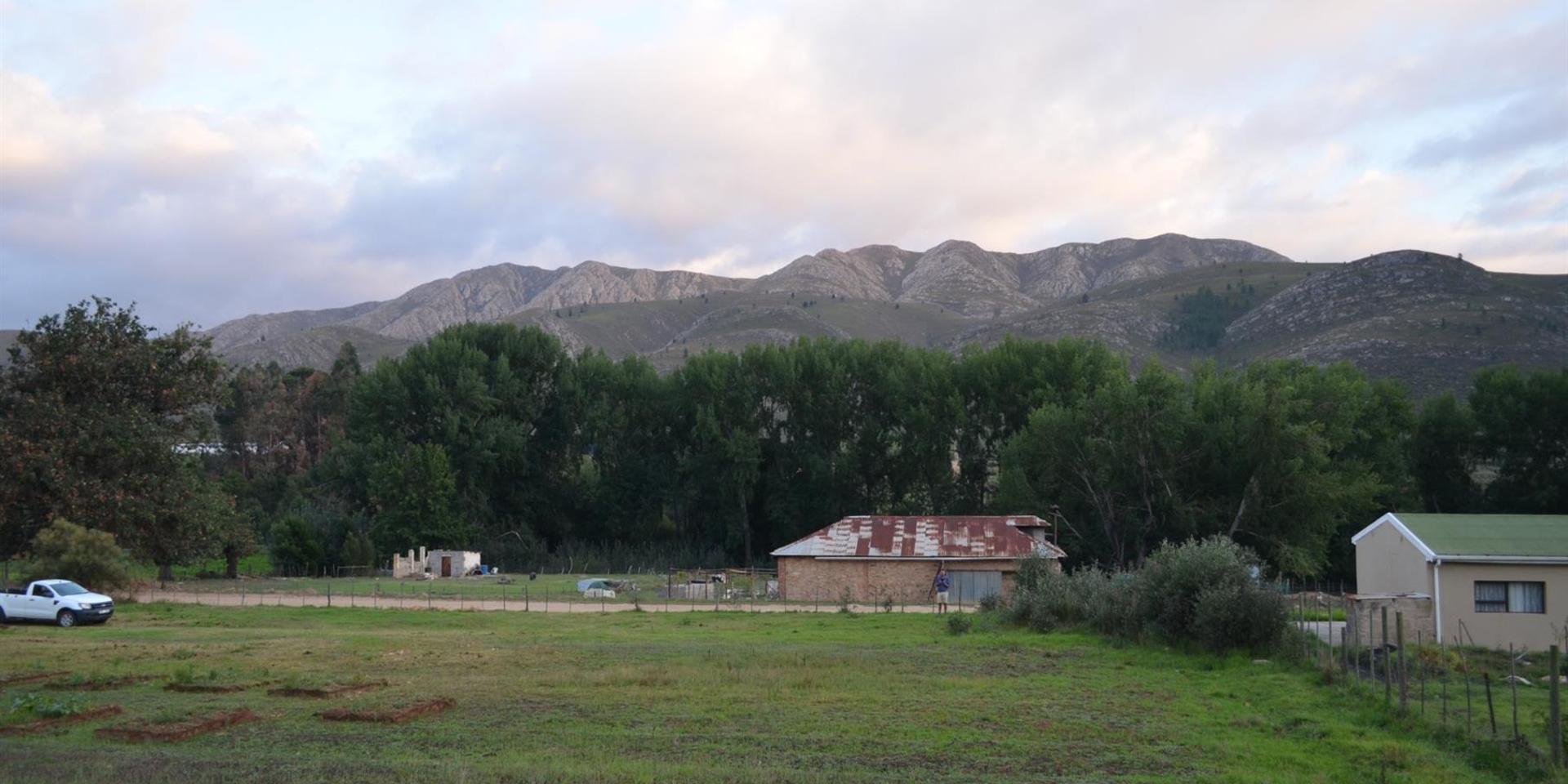 Image 4 of 6