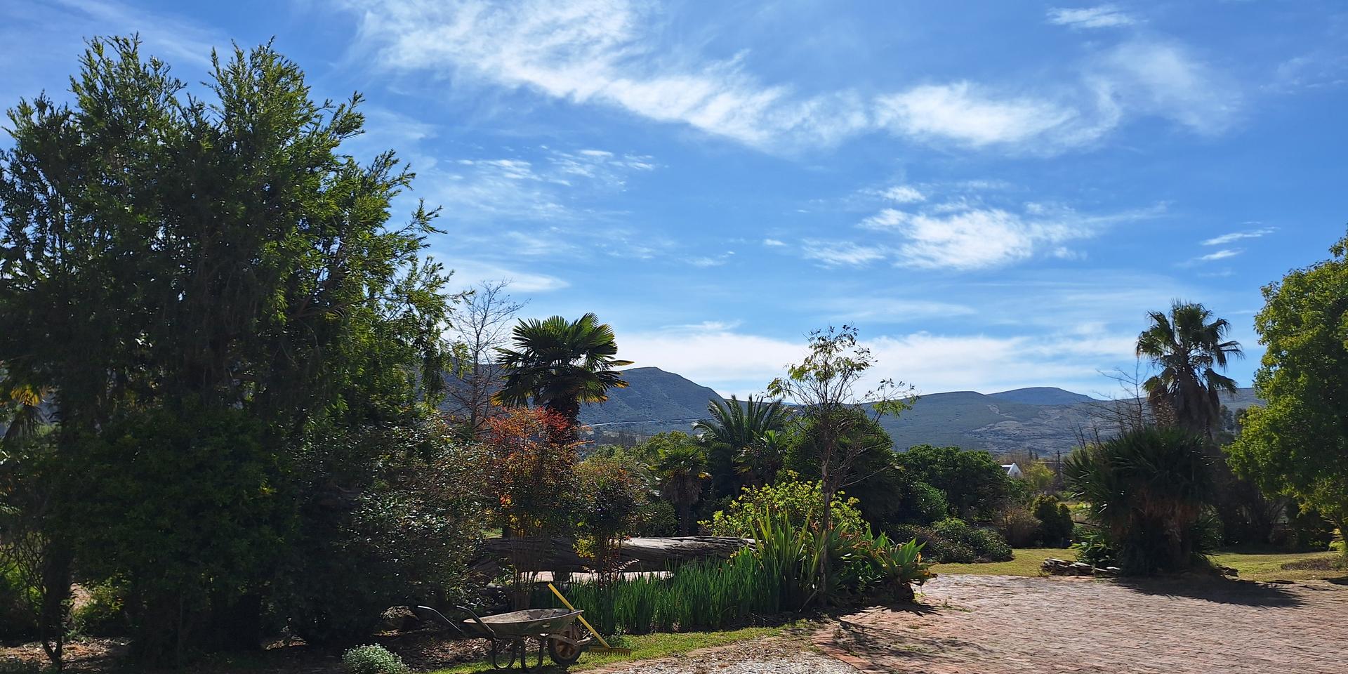 Image 4 of 6
