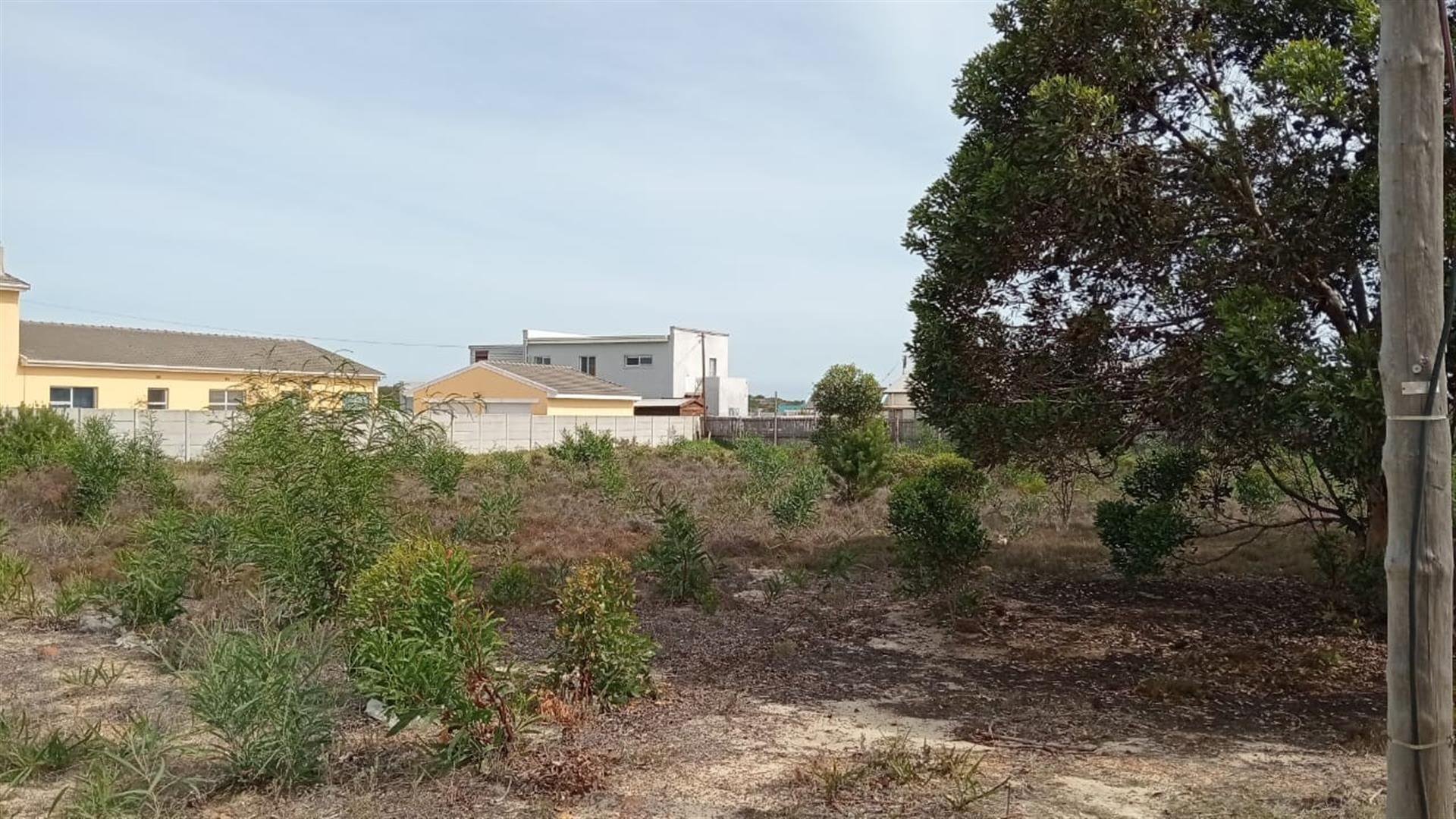 Image 9