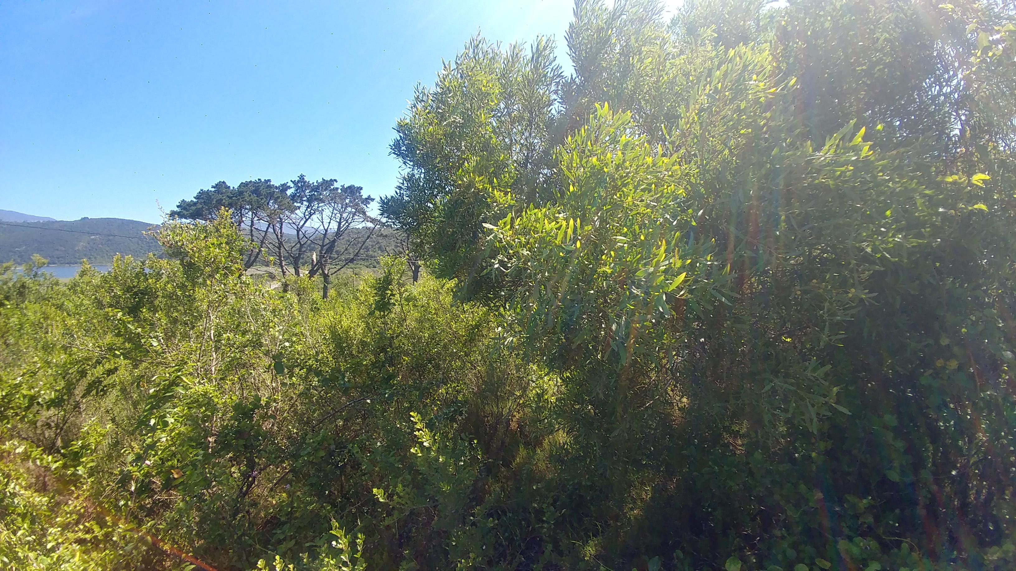Image 5 of 6