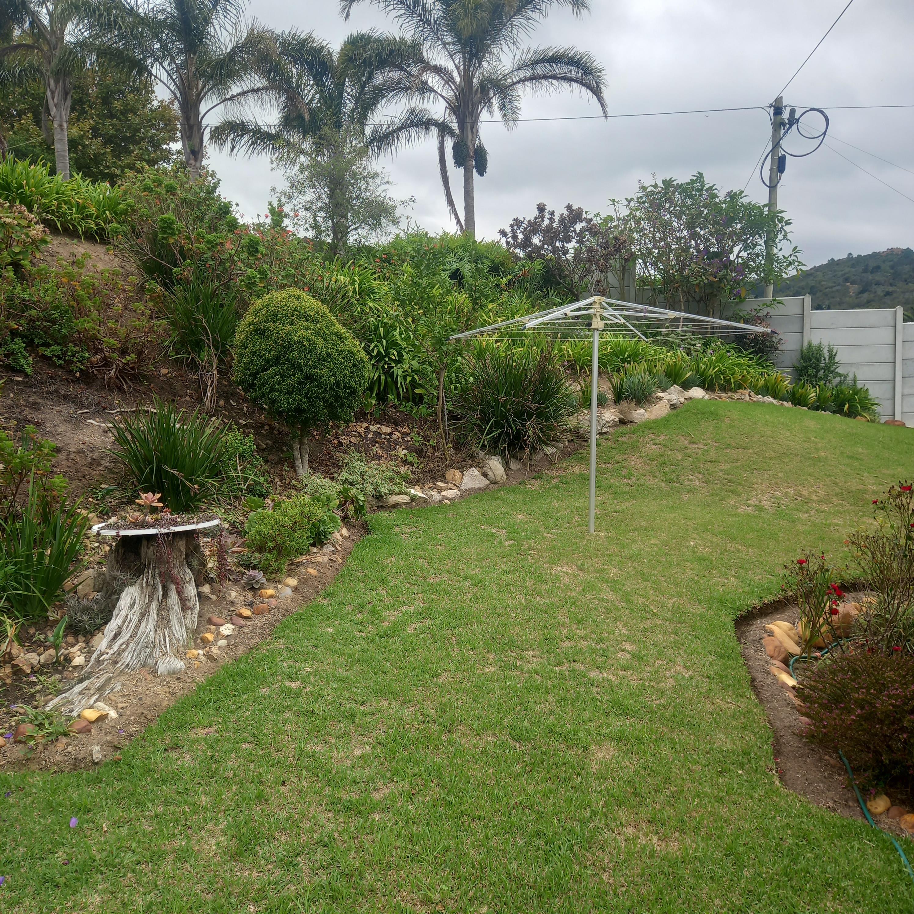 Image 15