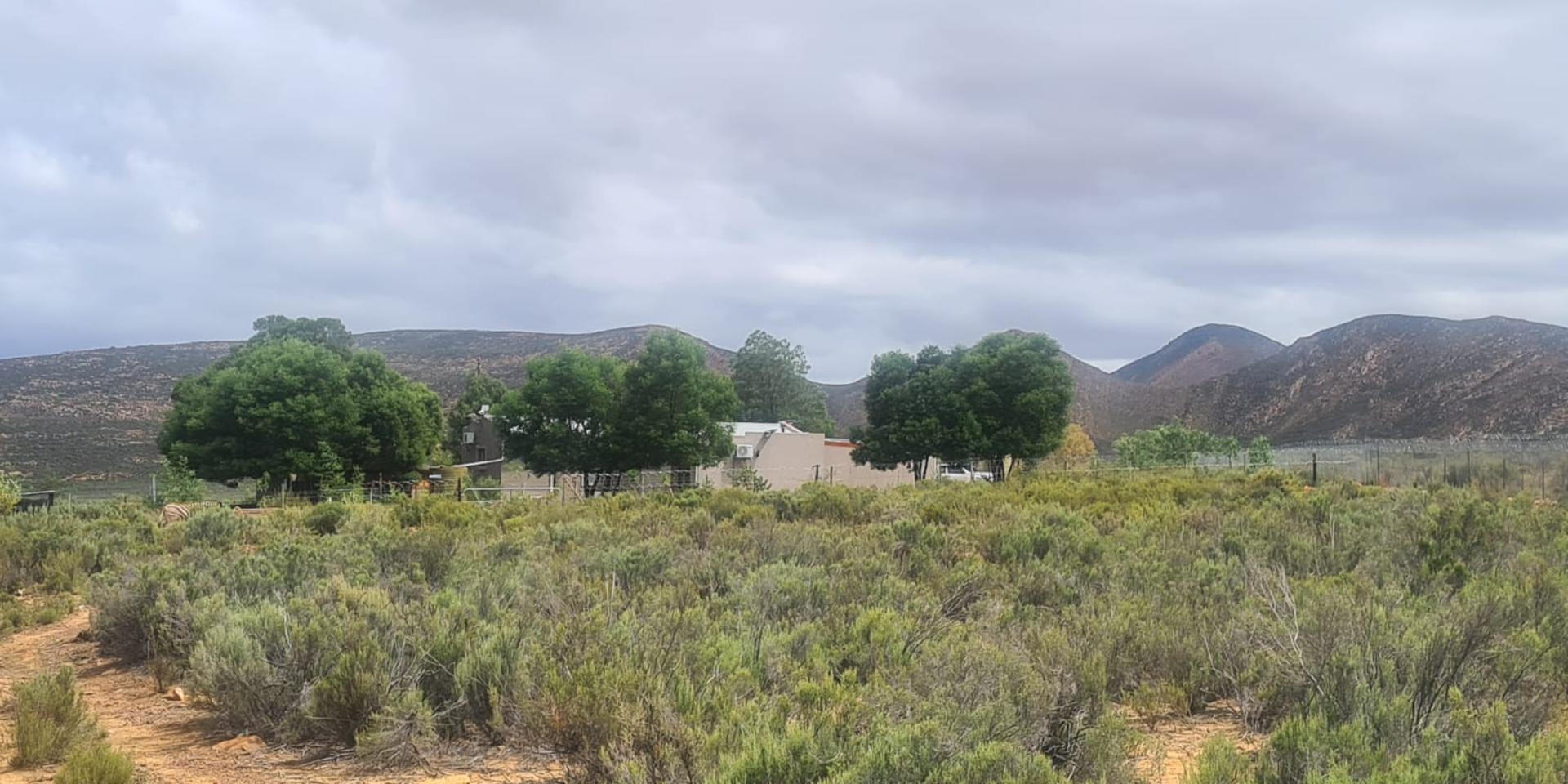 Image 4 of 6