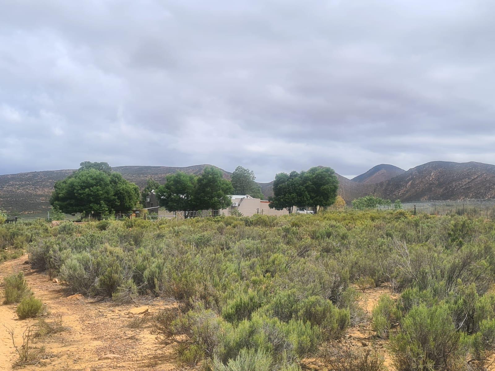 Image 4 of 6