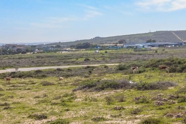 Main property image