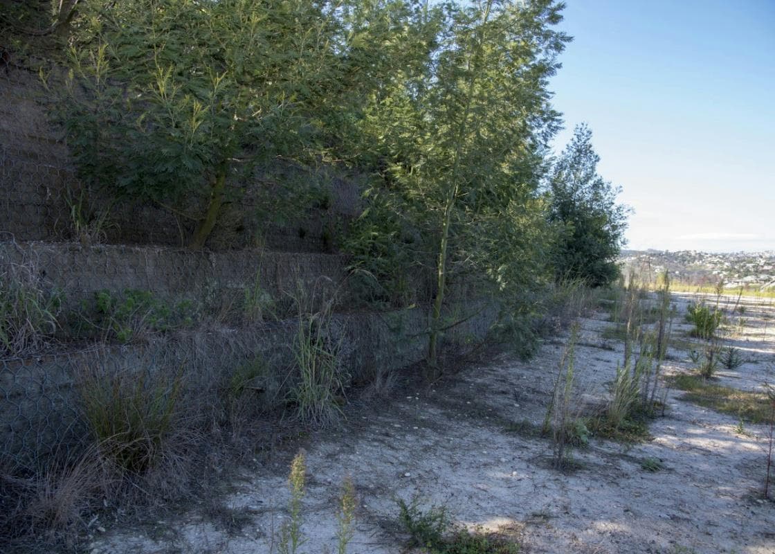 Image 12
